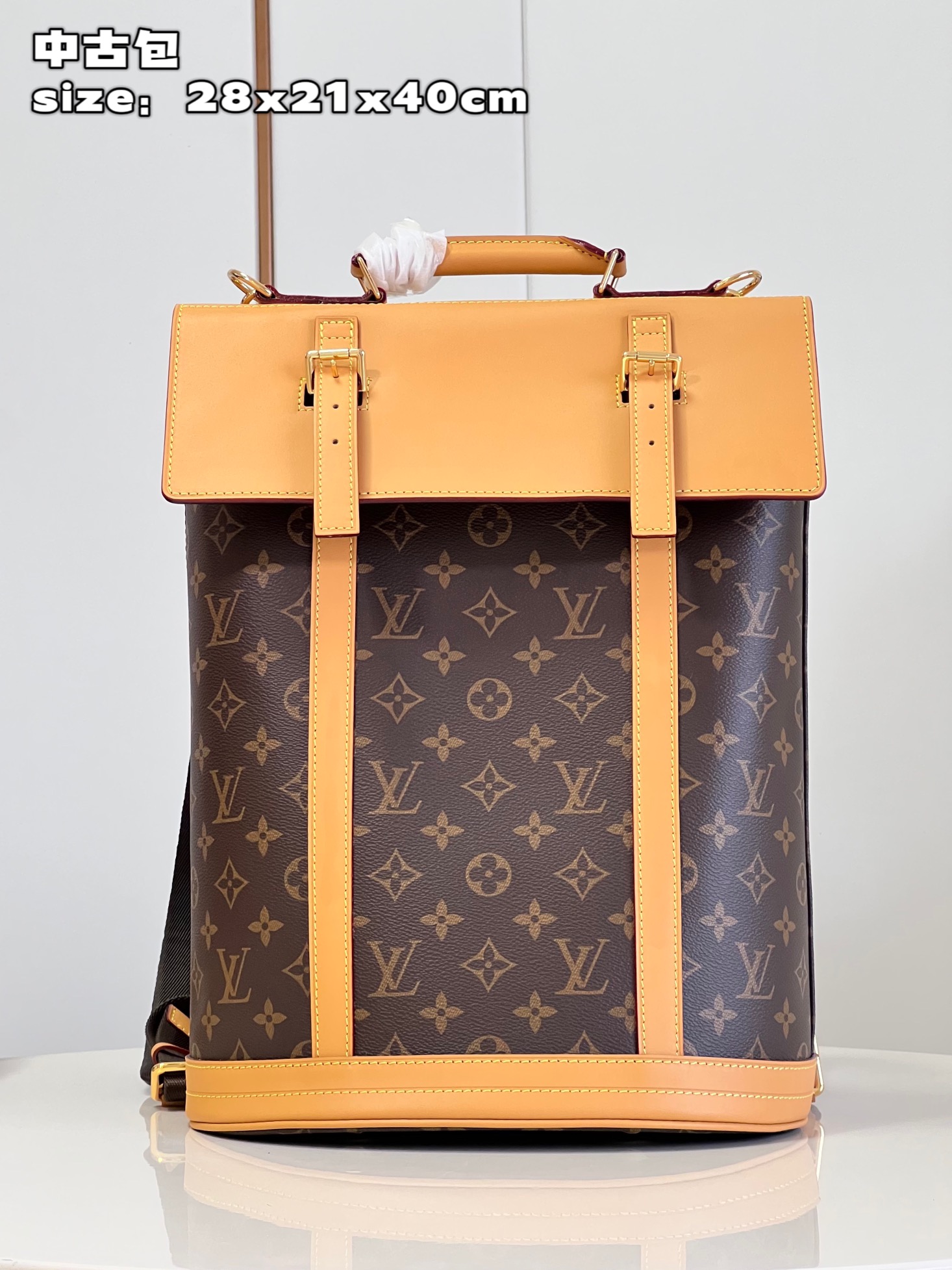 l**is V*t*n montsouris backpack