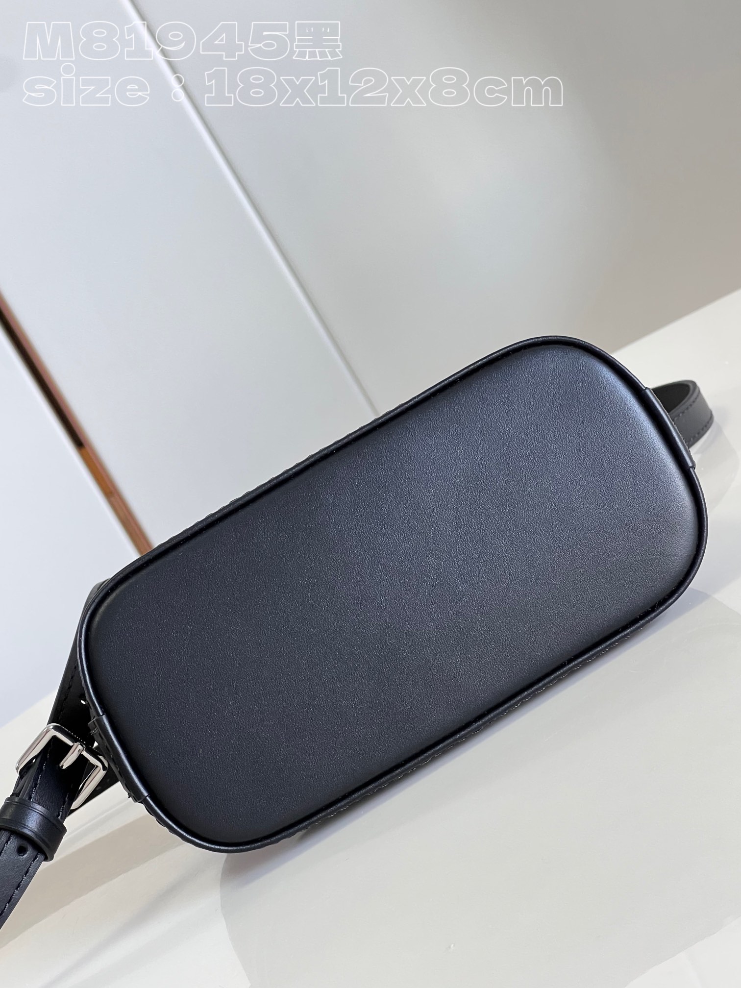 l**is V*t*n nano alma bag