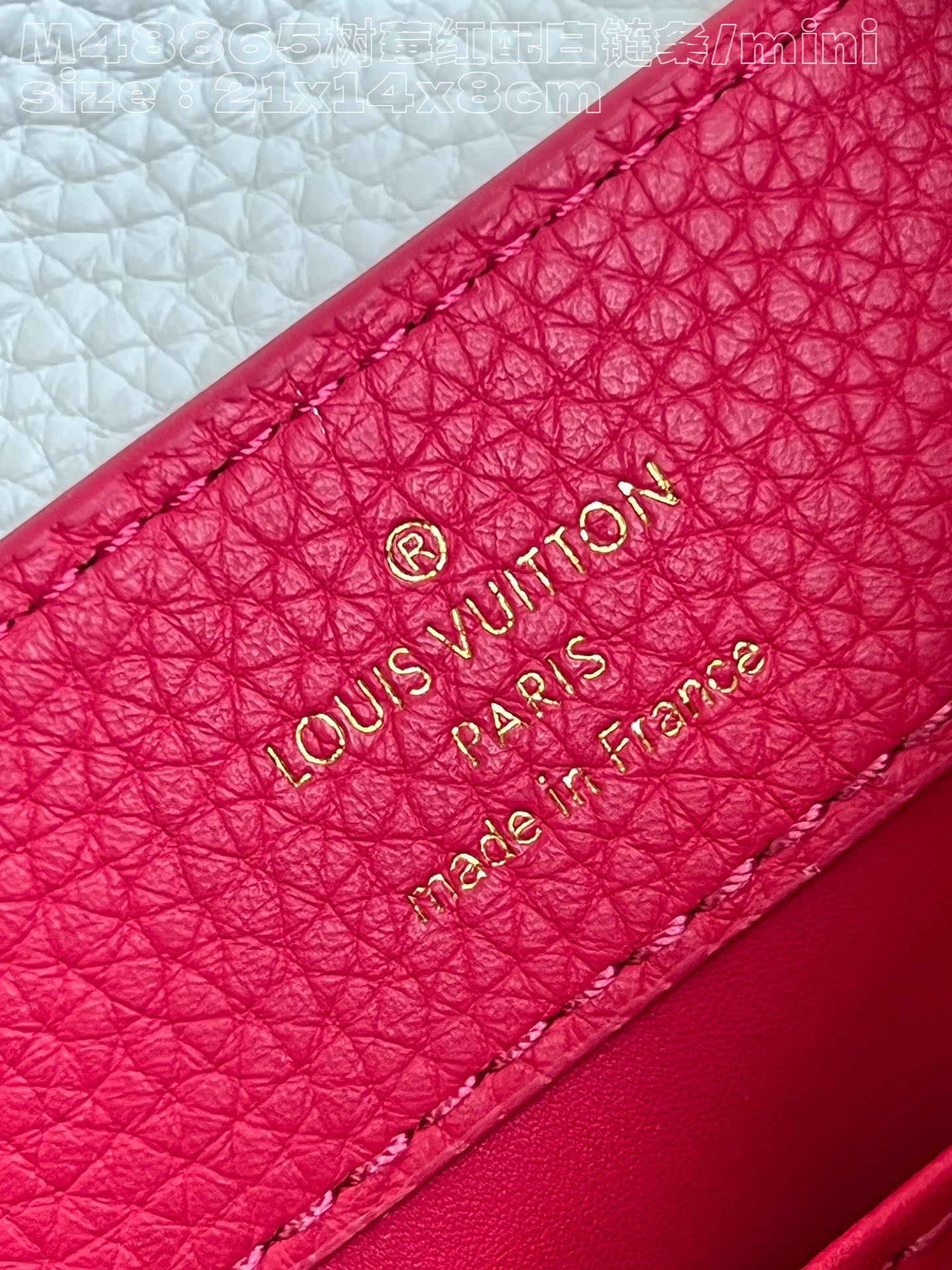 l**is V*t*n capucines  mini handbag
