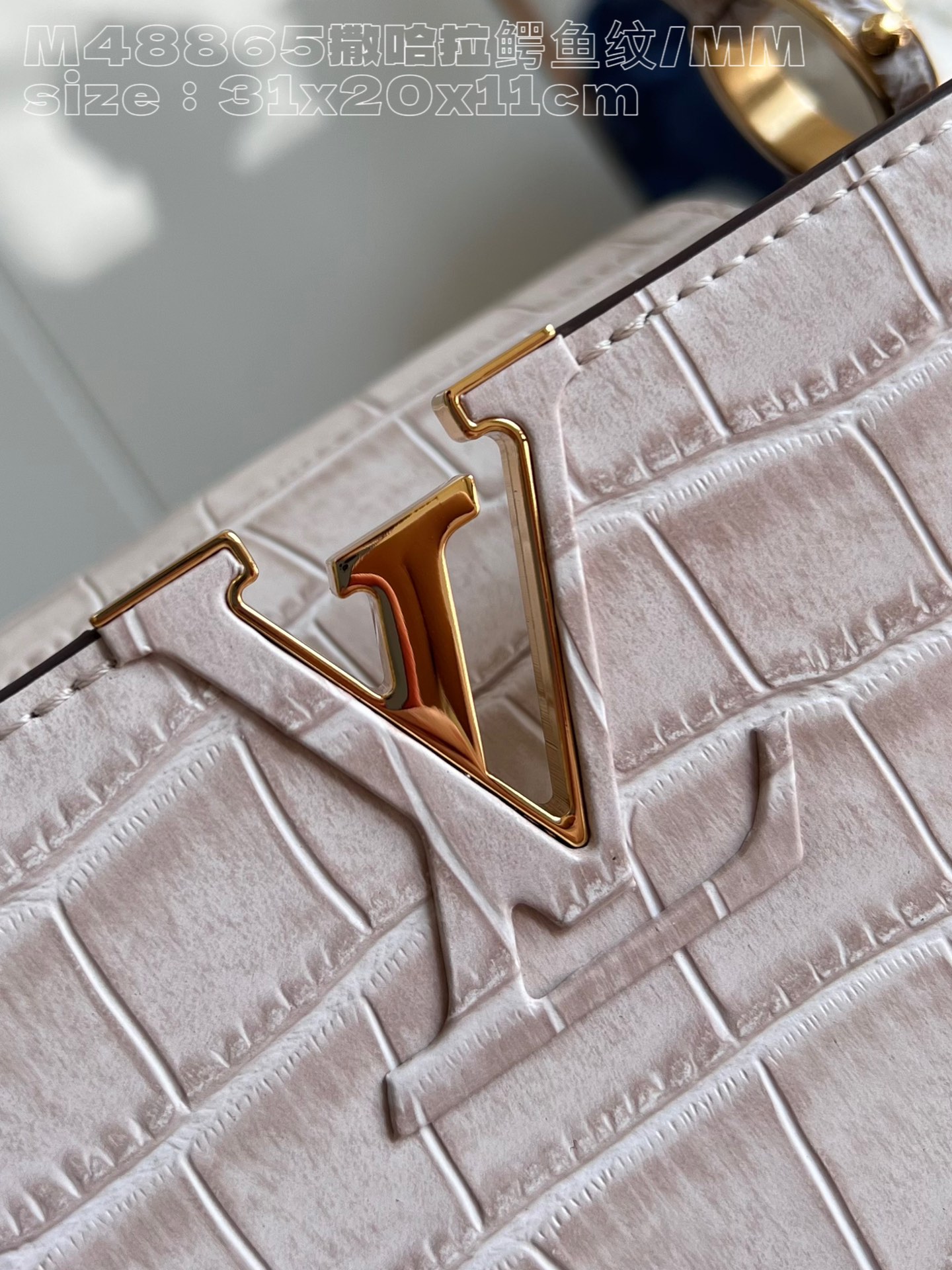 l**is V*t*n capucines medium handbag