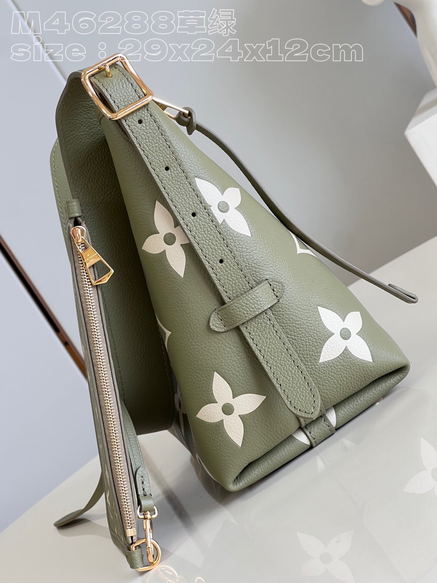 l**is V*t*n carryall pm bag