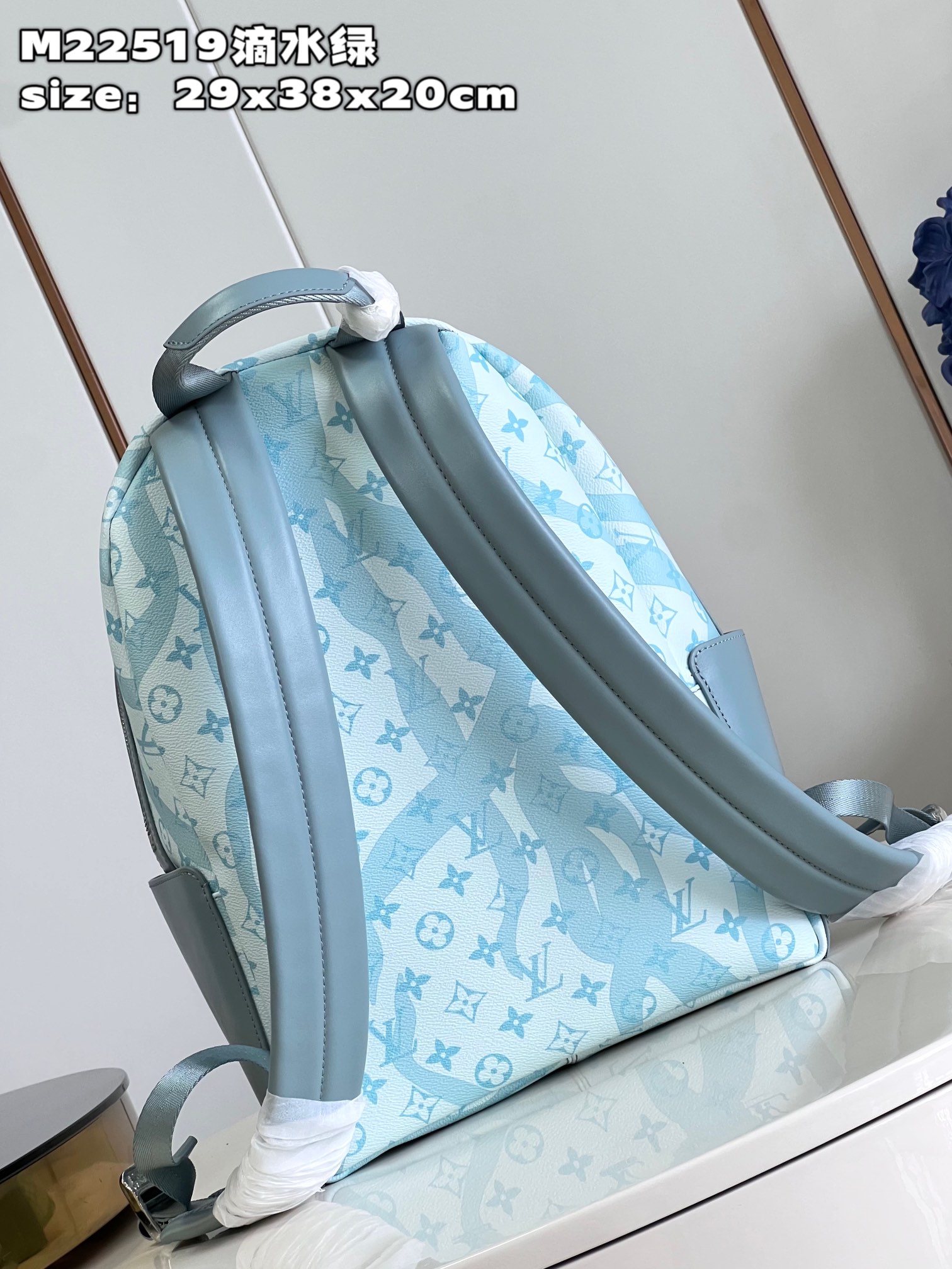 l**is V*t*n discovery backpack