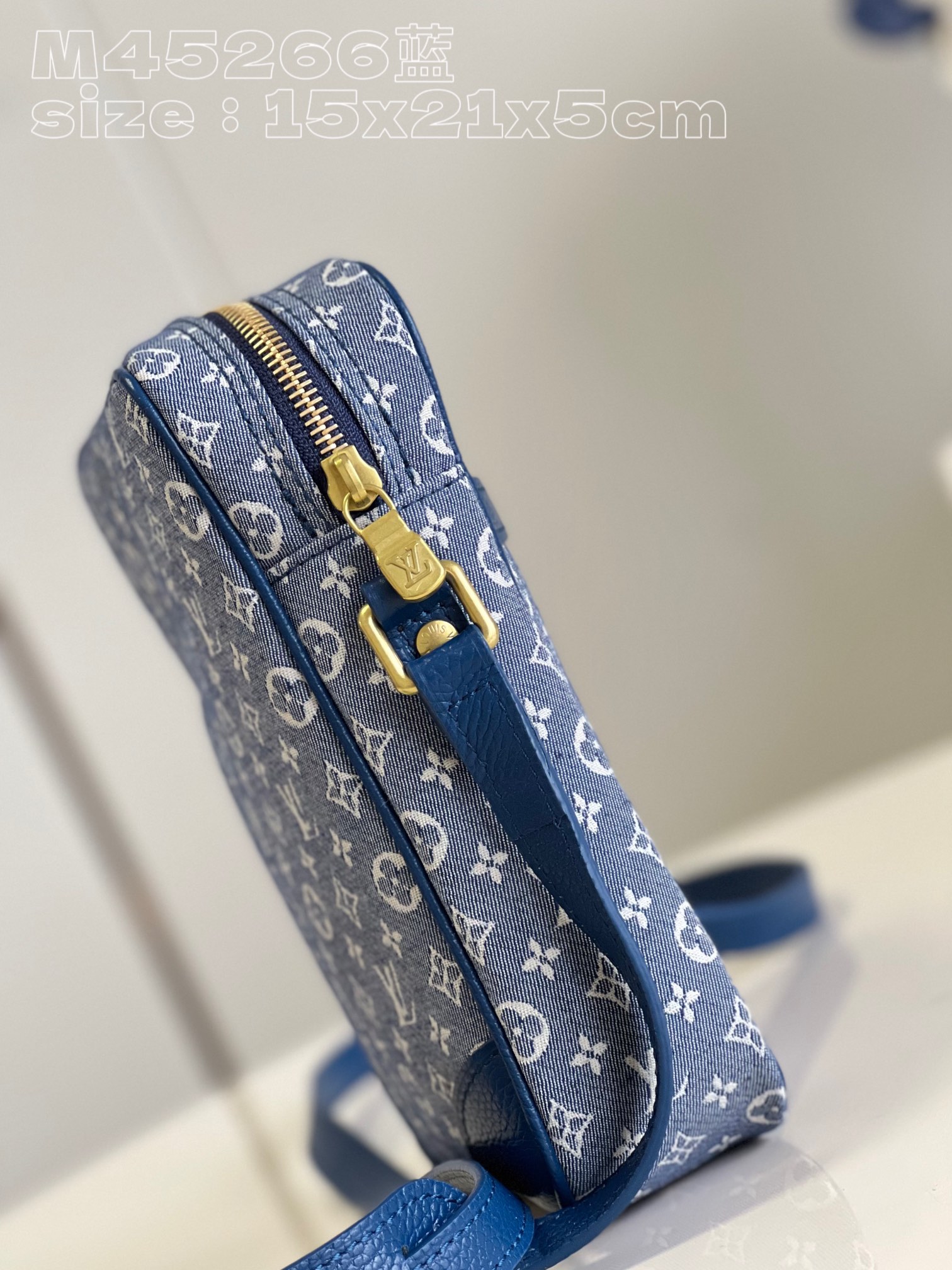 l**is V*t*n danube shoulder bag