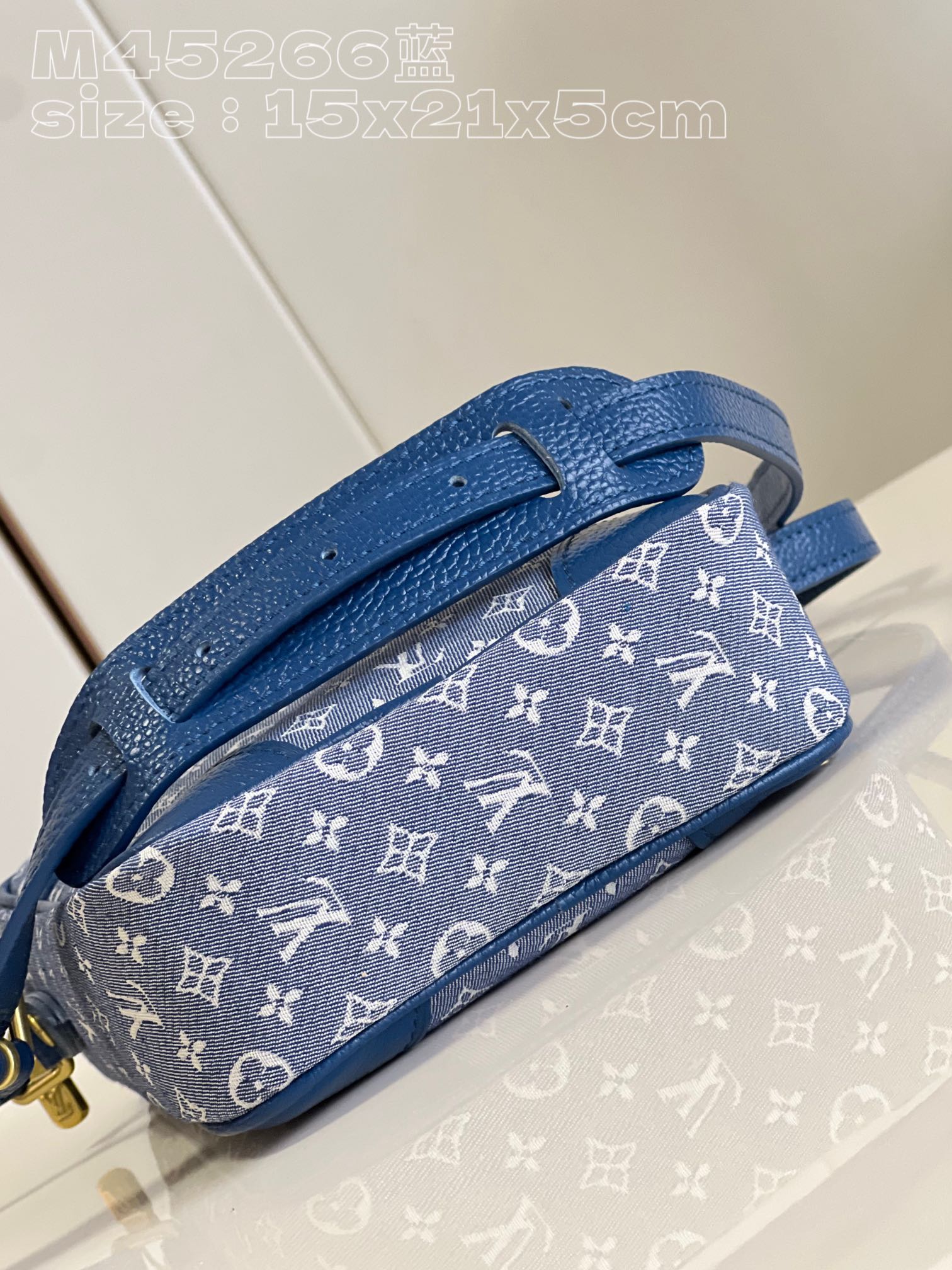 l**is V*t*n danube shoulder bag