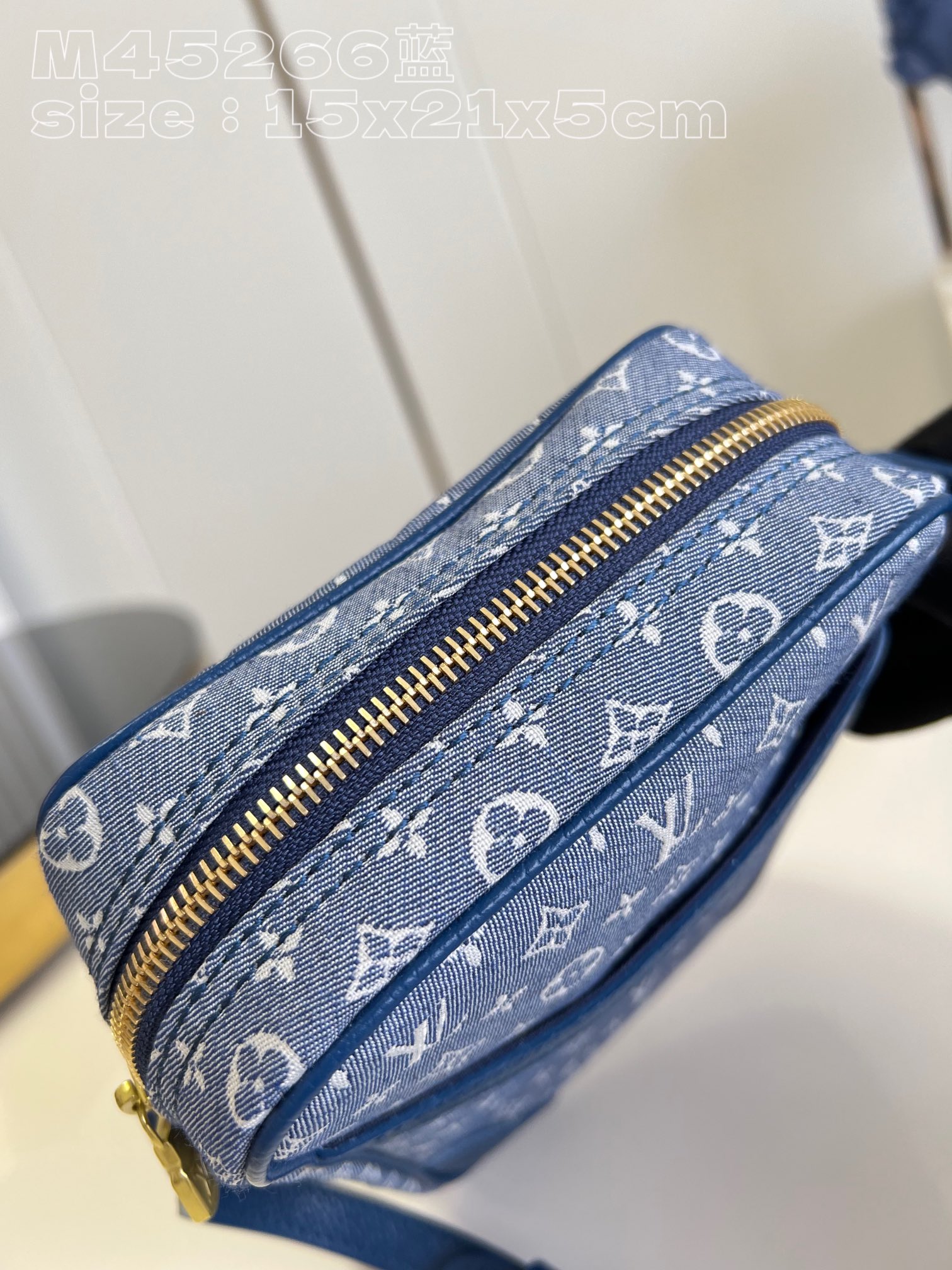 l**is V*t*n danube shoulder bag