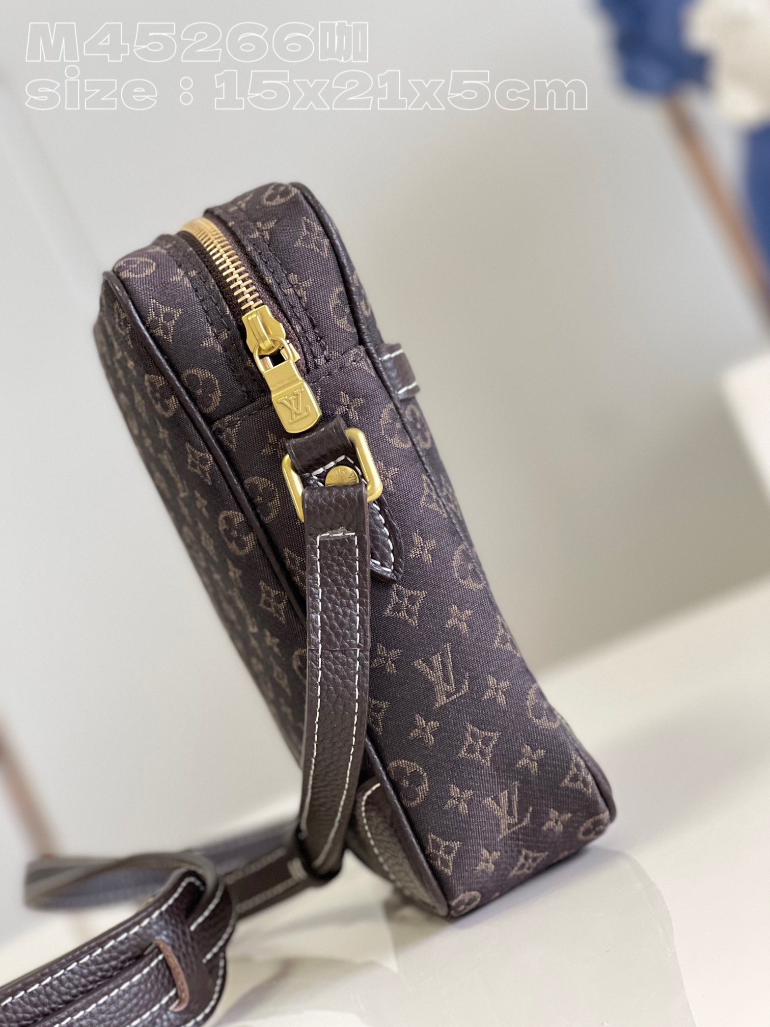 l**is V*t*n danube shoulder bag