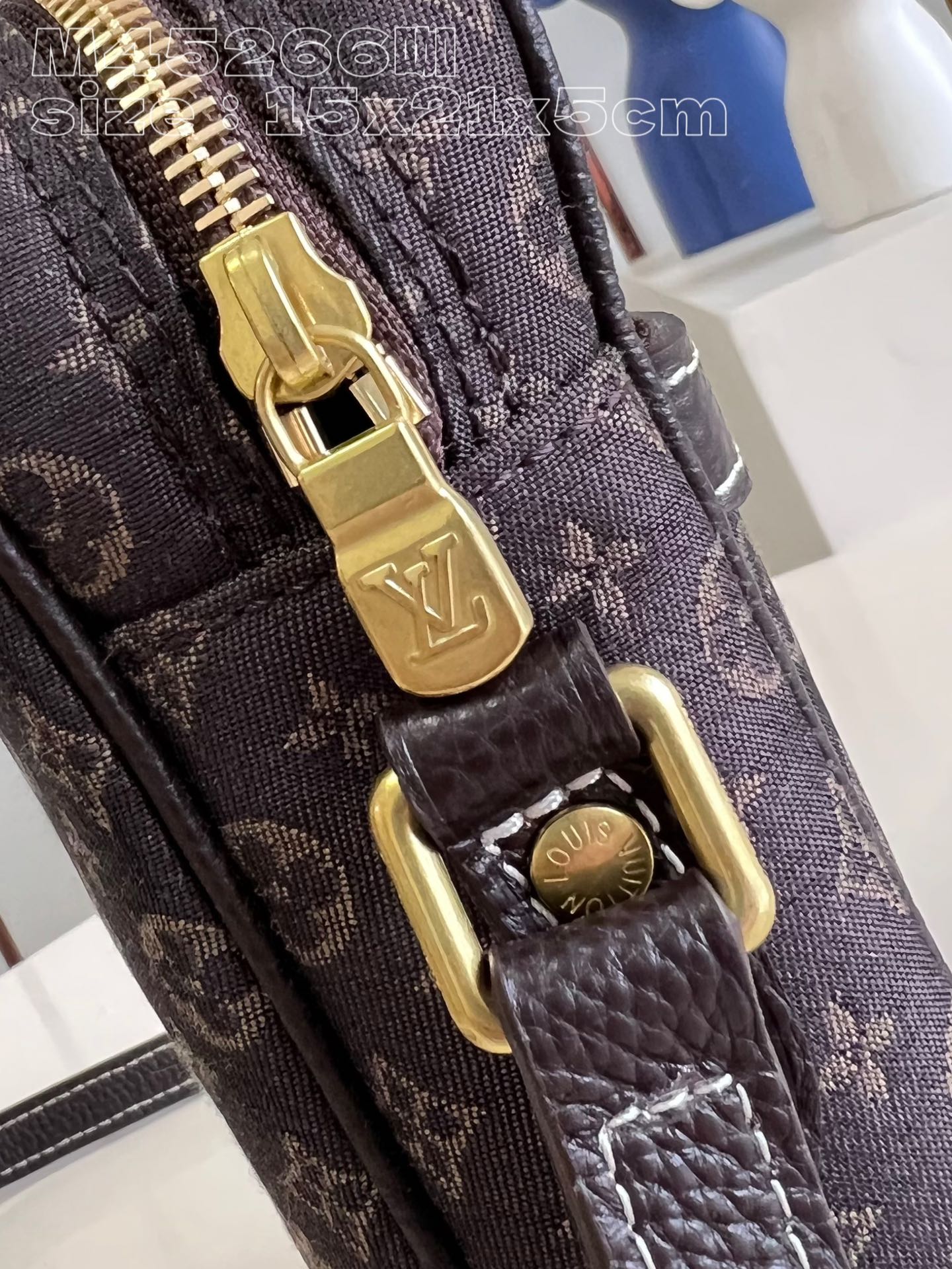l**is V*t*n danube shoulder bag