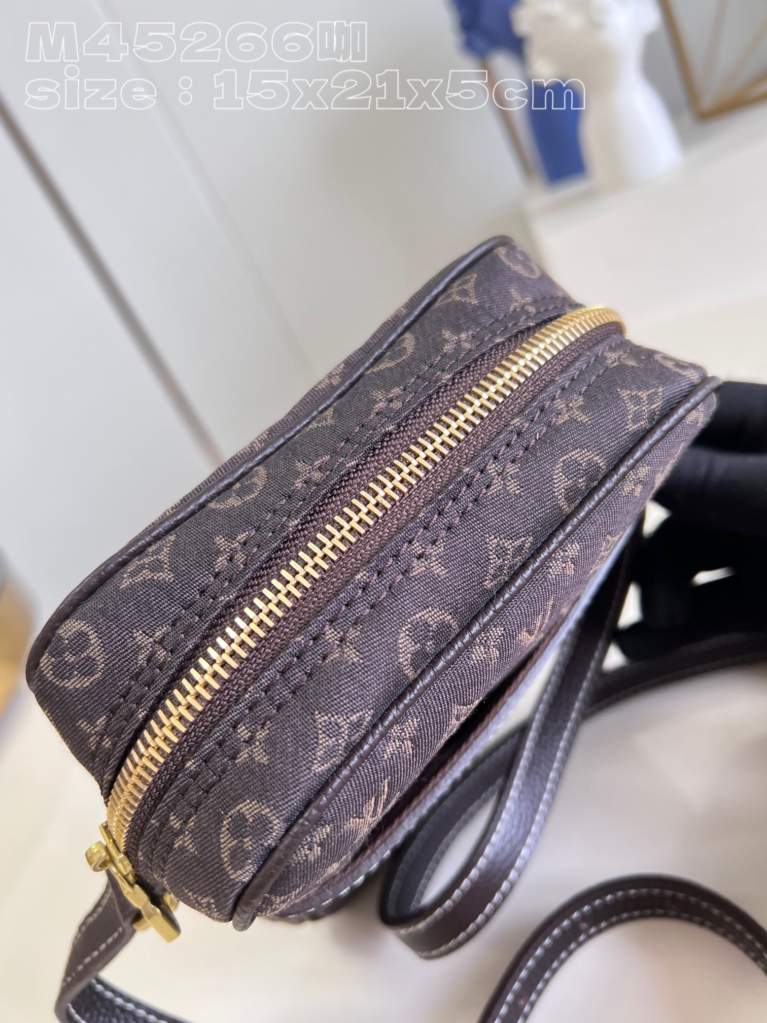 l**is V*t*n danube shoulder bag