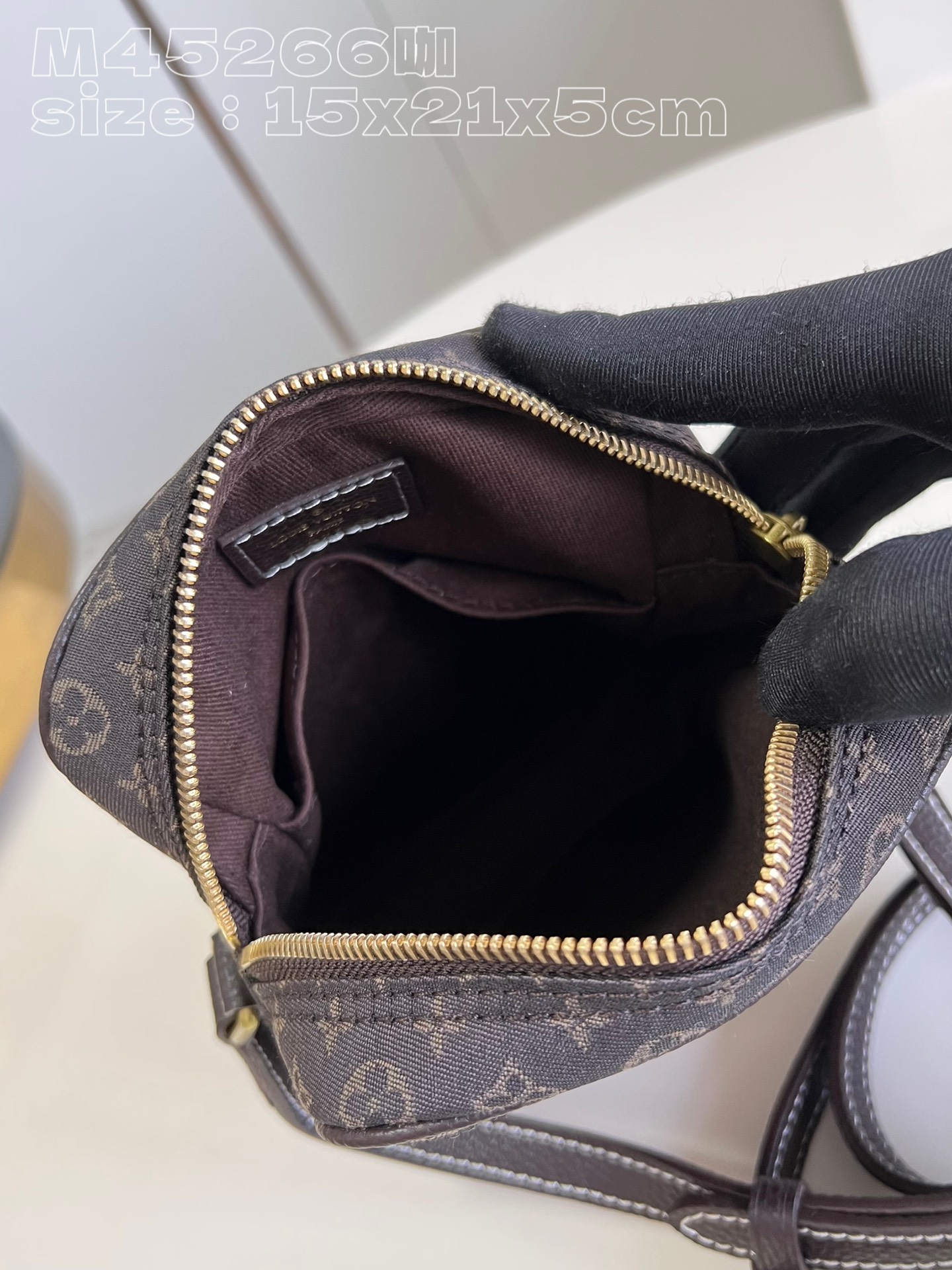 l**is V*t*n danube shoulder bag