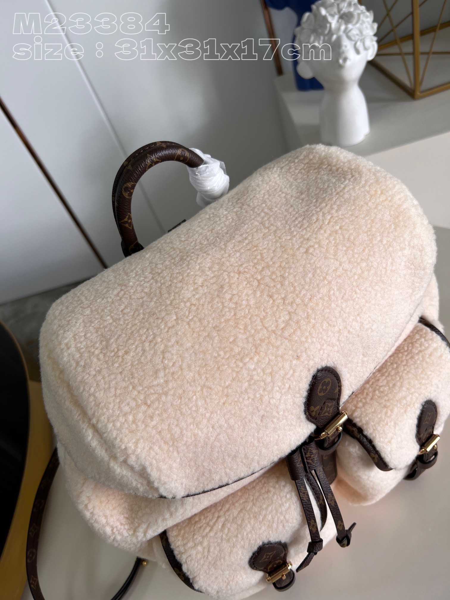 l**is V*t*n lv ski backpack