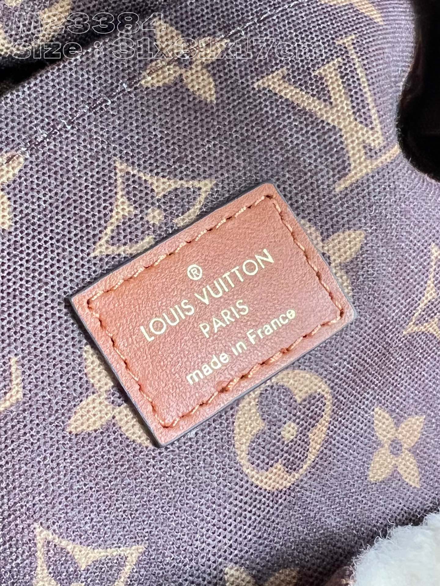 l**is V*t*n lv ski backpack