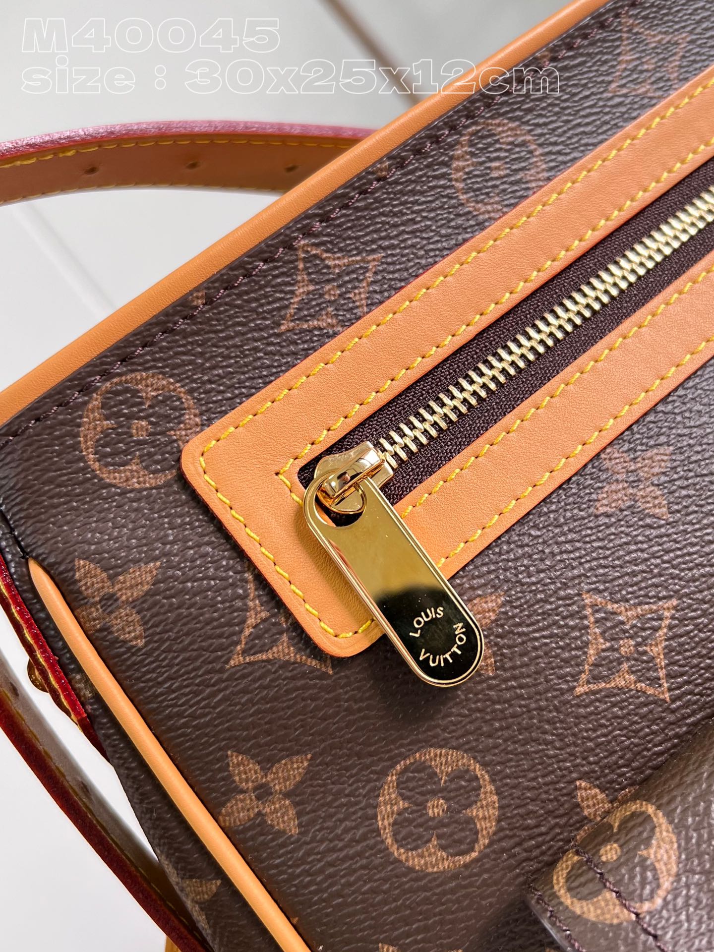 l**is V*t*n hudson gm bag