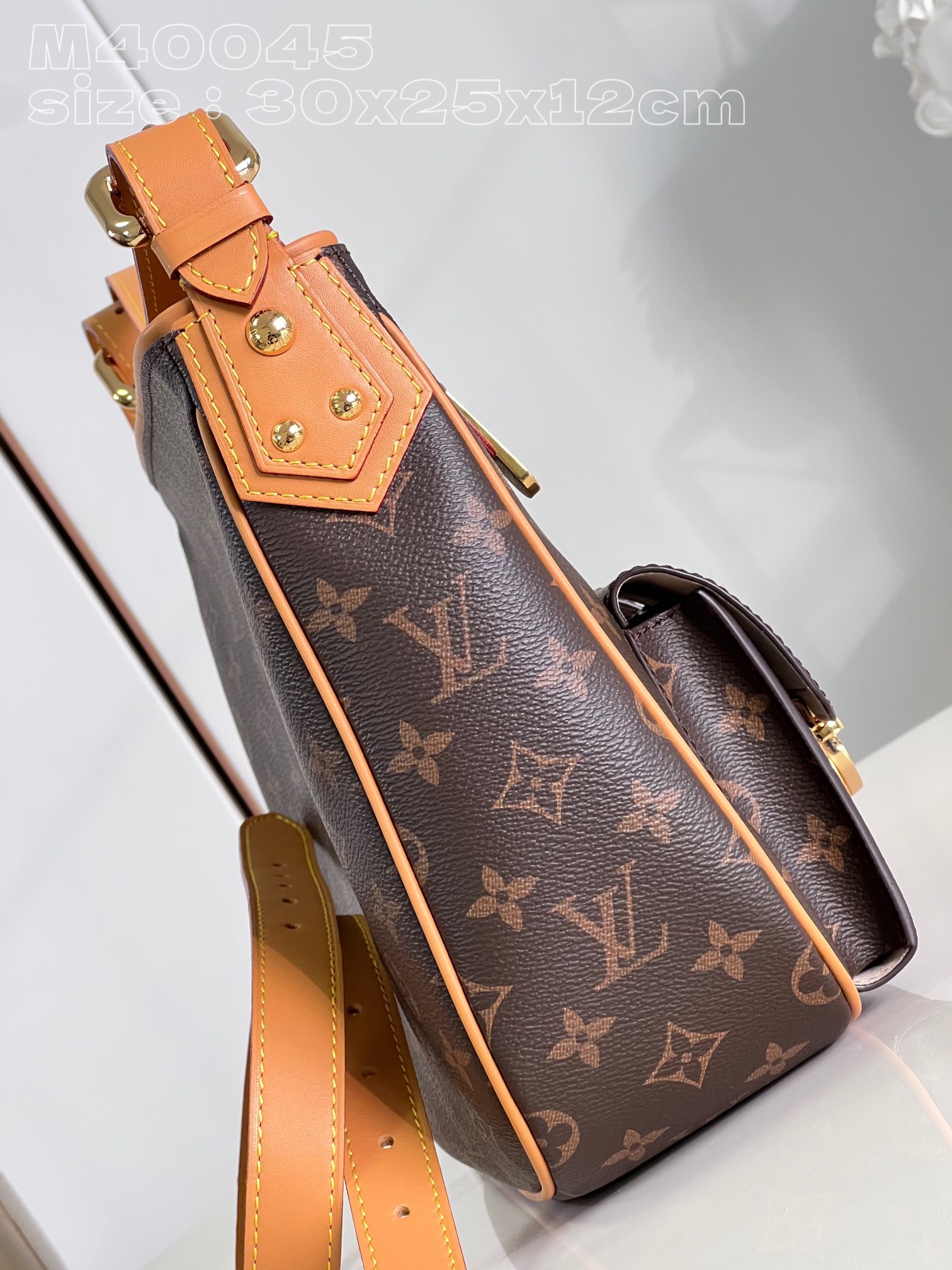l**is V*t*n hudson gm bag