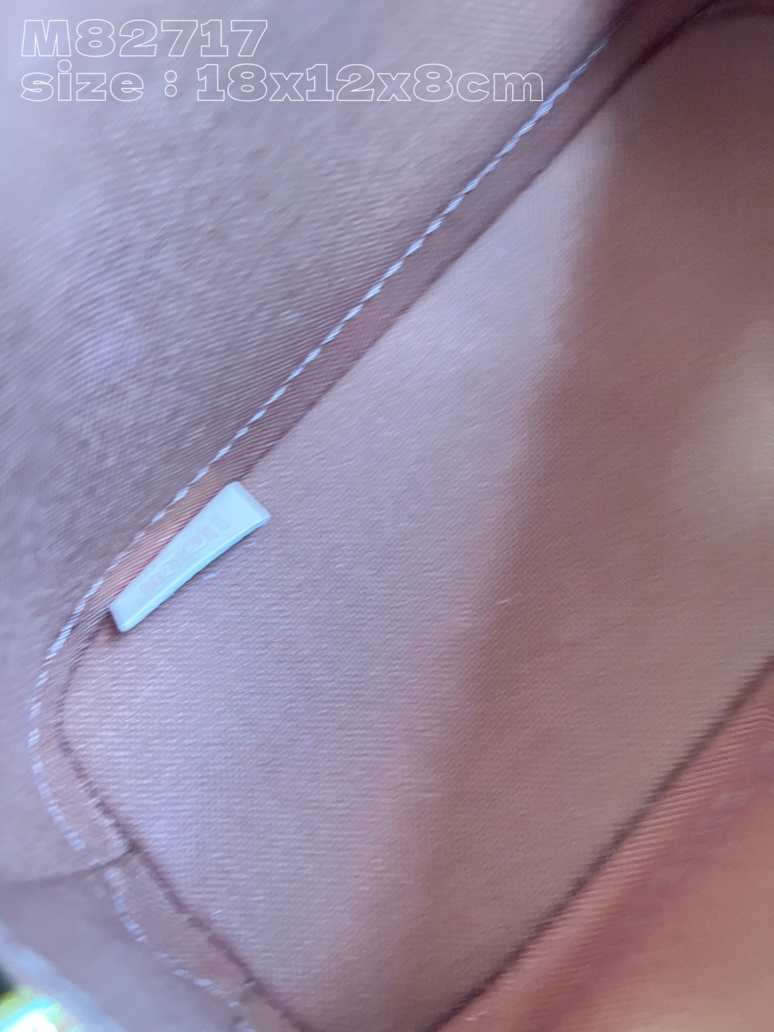 l**is V*t*n nano alma bag