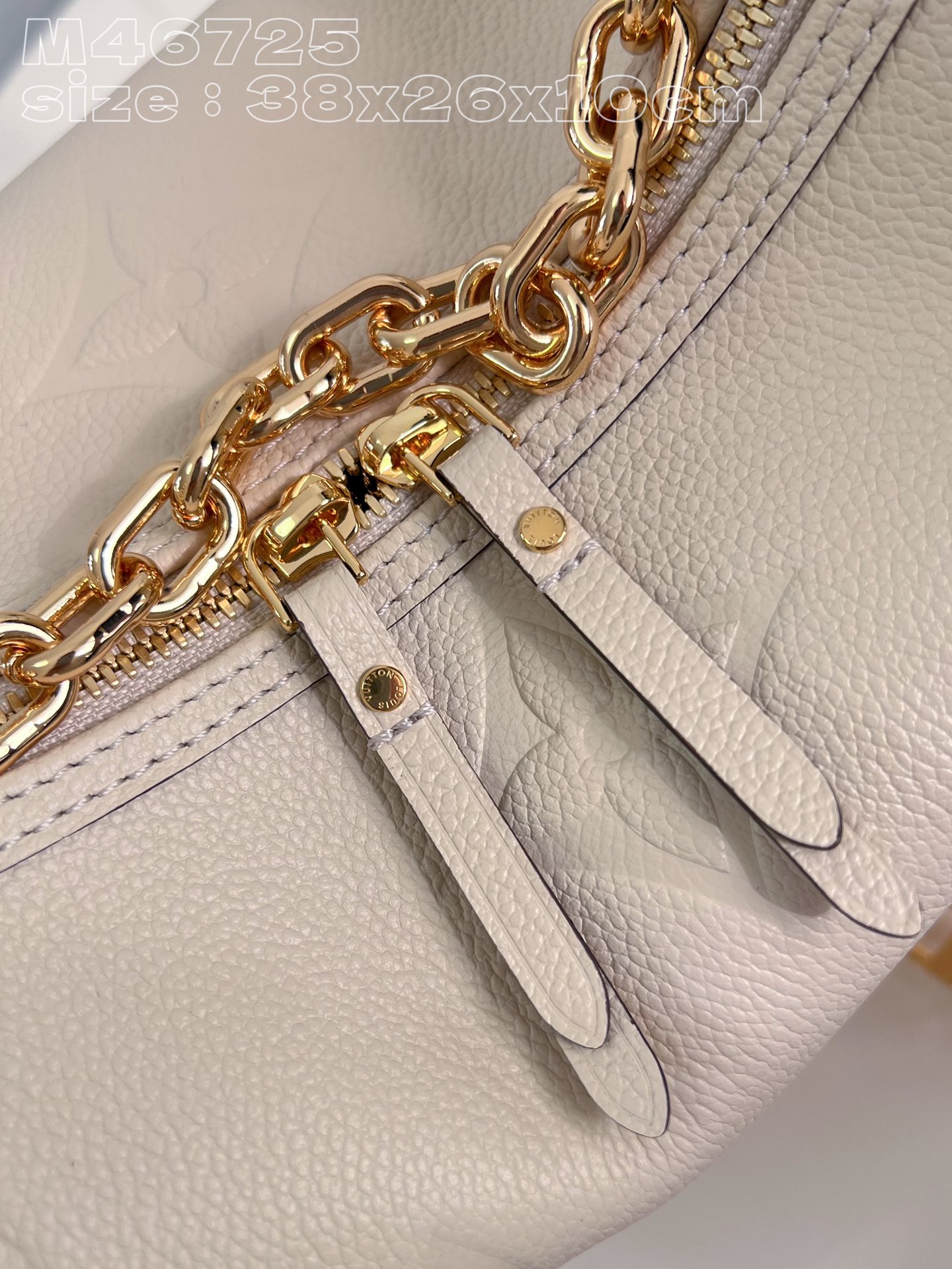 l**is V*t*n loop hobo bag