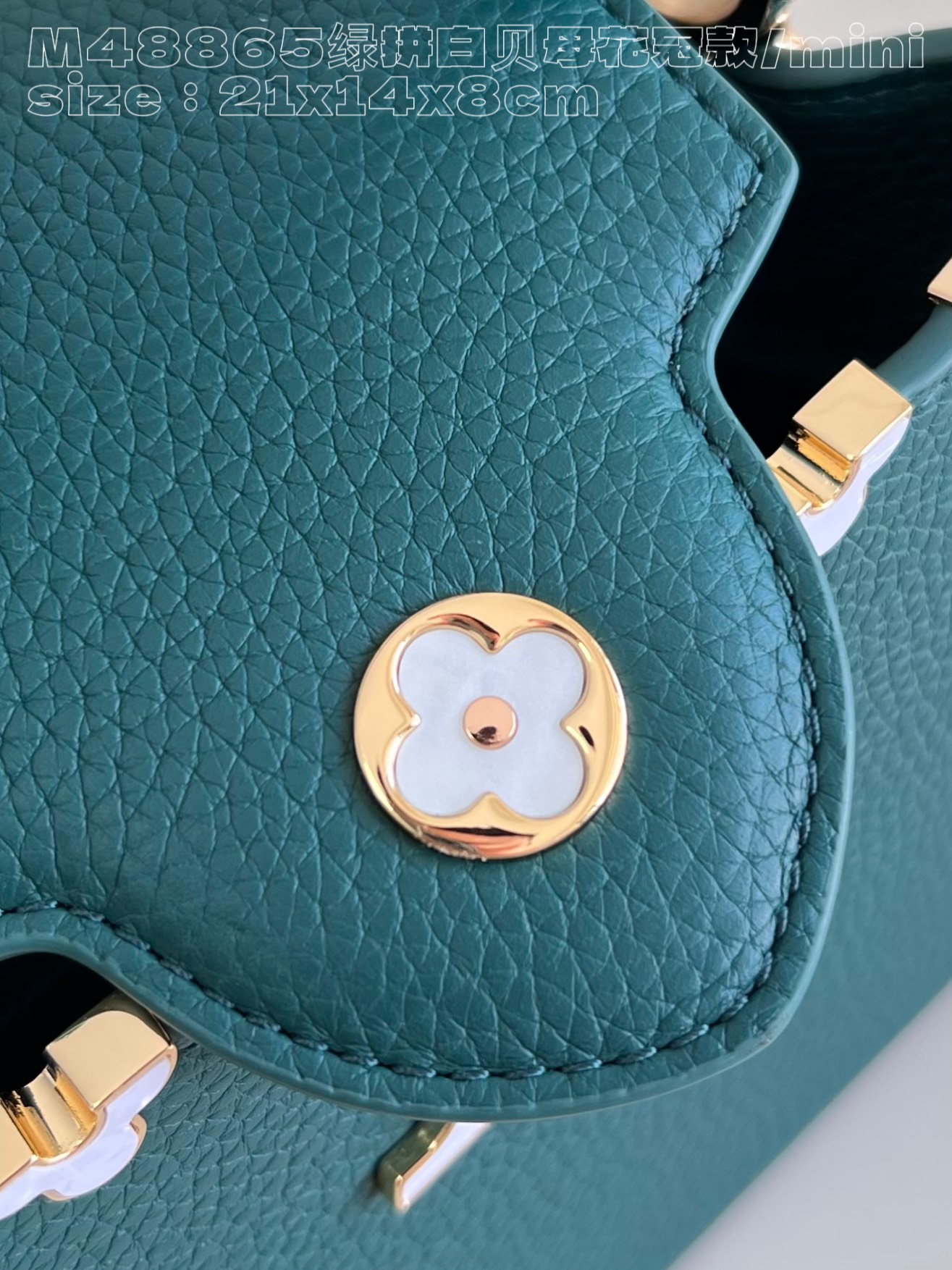 l**is V*t*n capucines mini bag