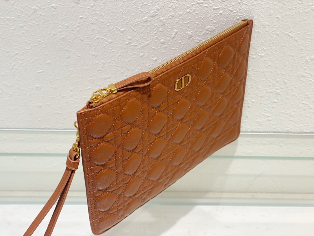 large D*or caro daily pouch