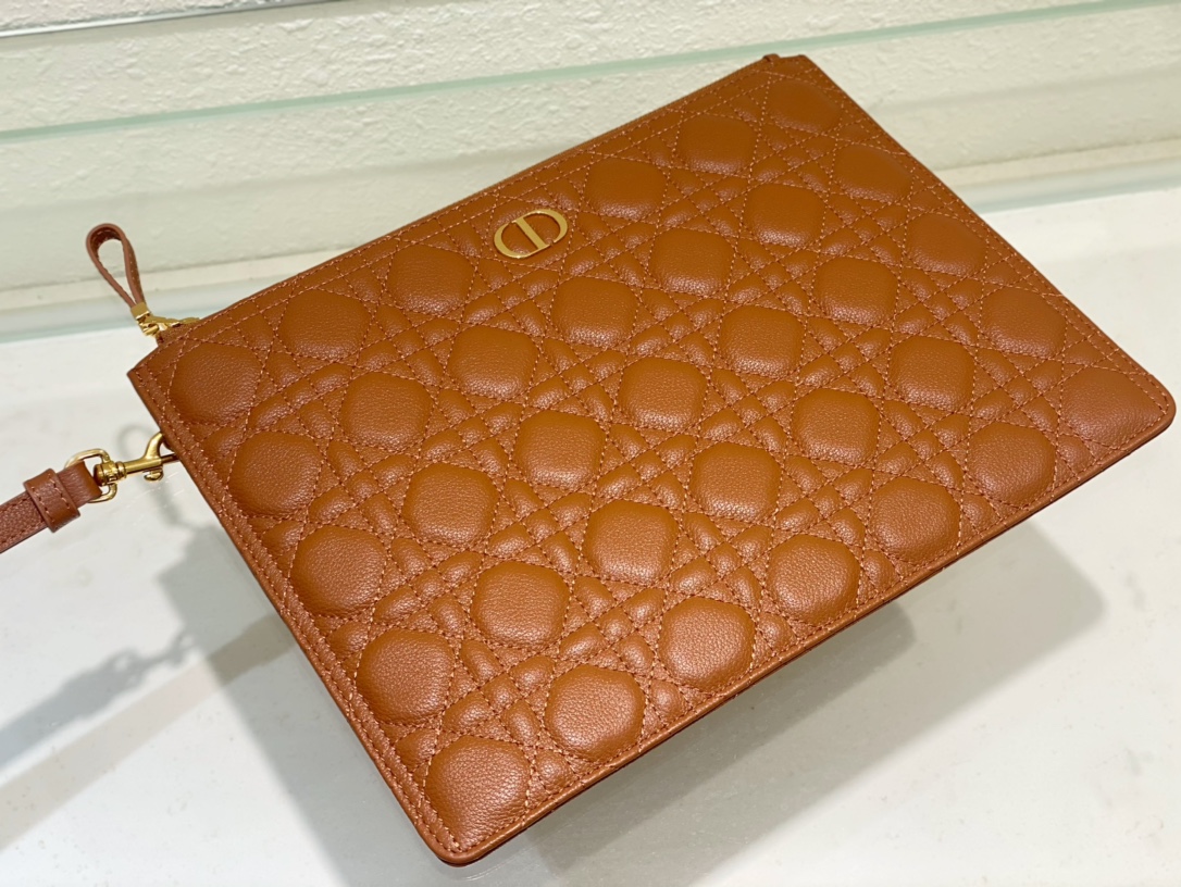 large D*or caro daily pouch