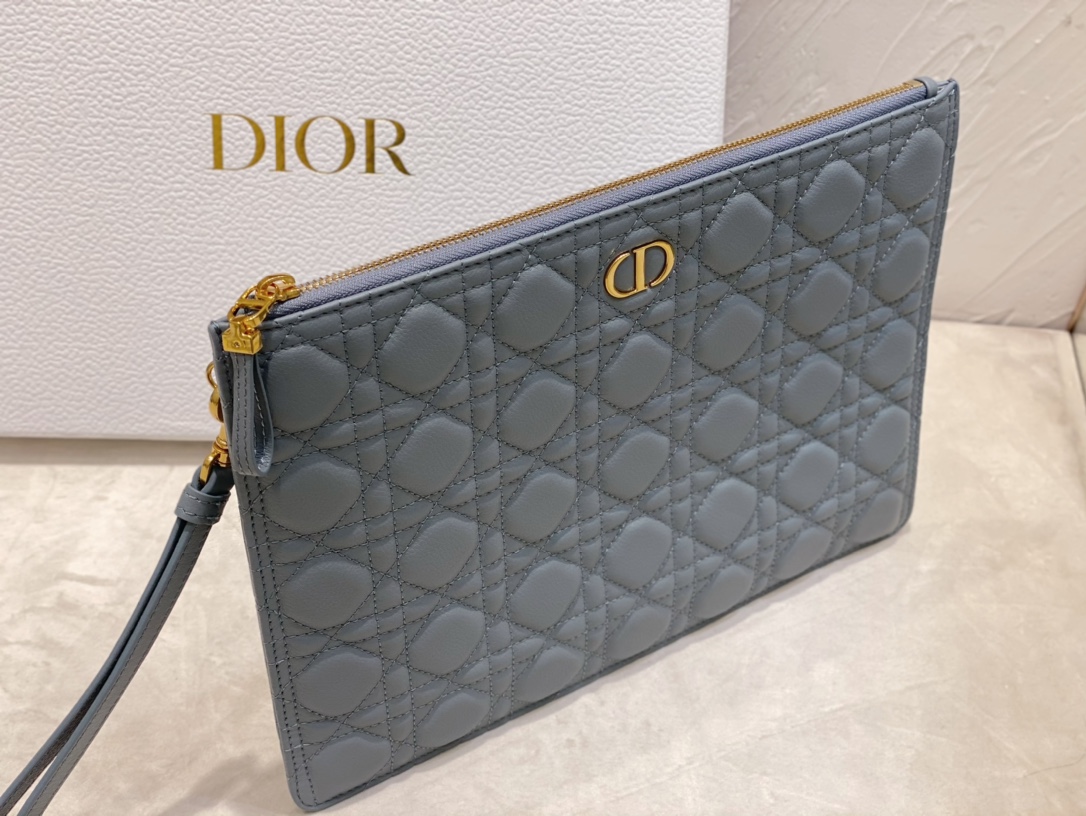 large D*or caro daily pouch