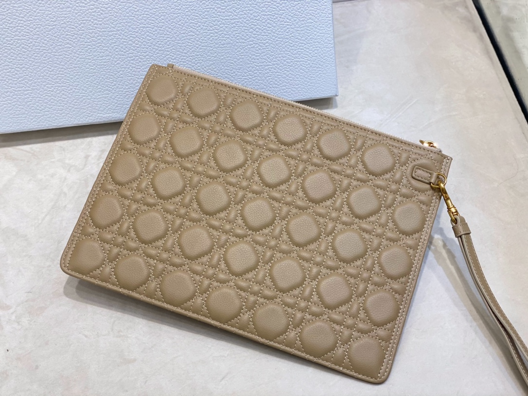 large D*or caro daily pouch
