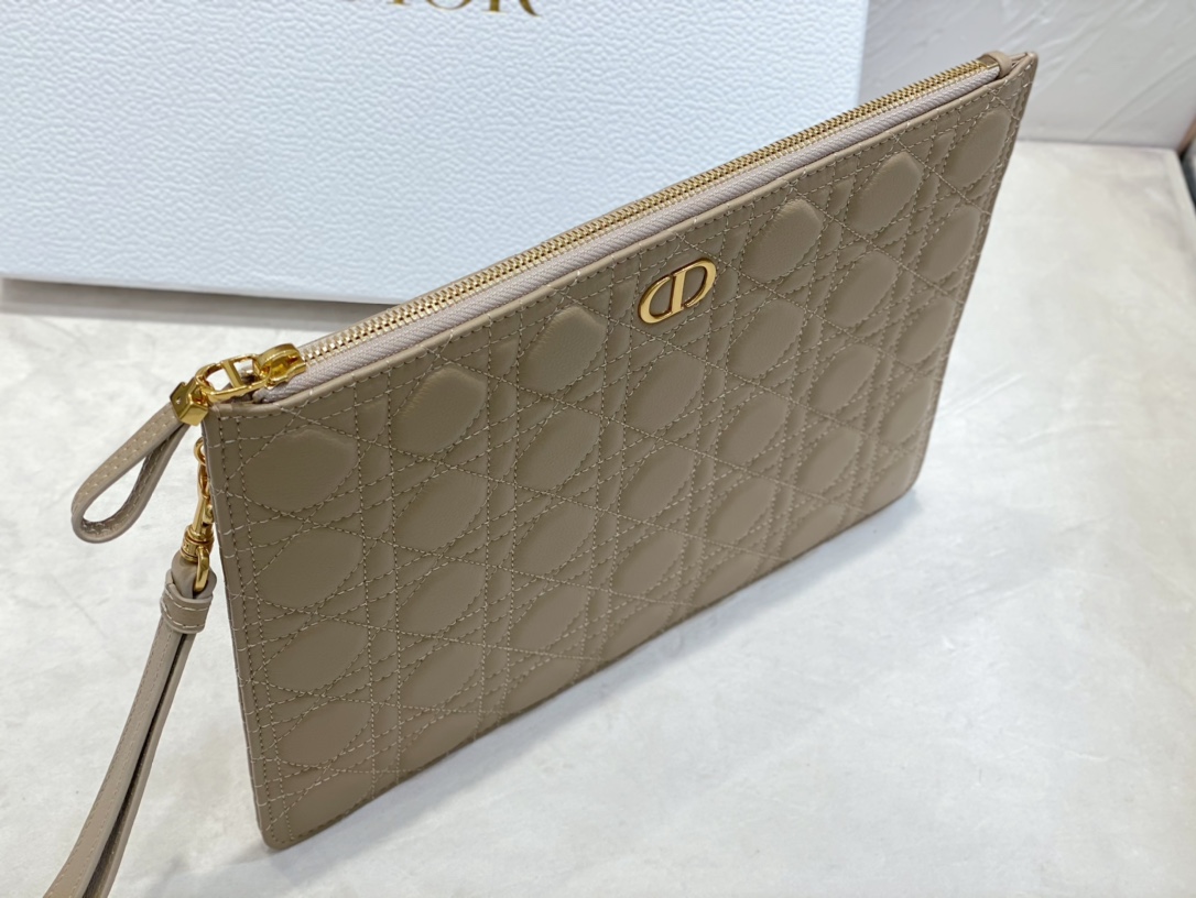 large D*or caro daily pouch