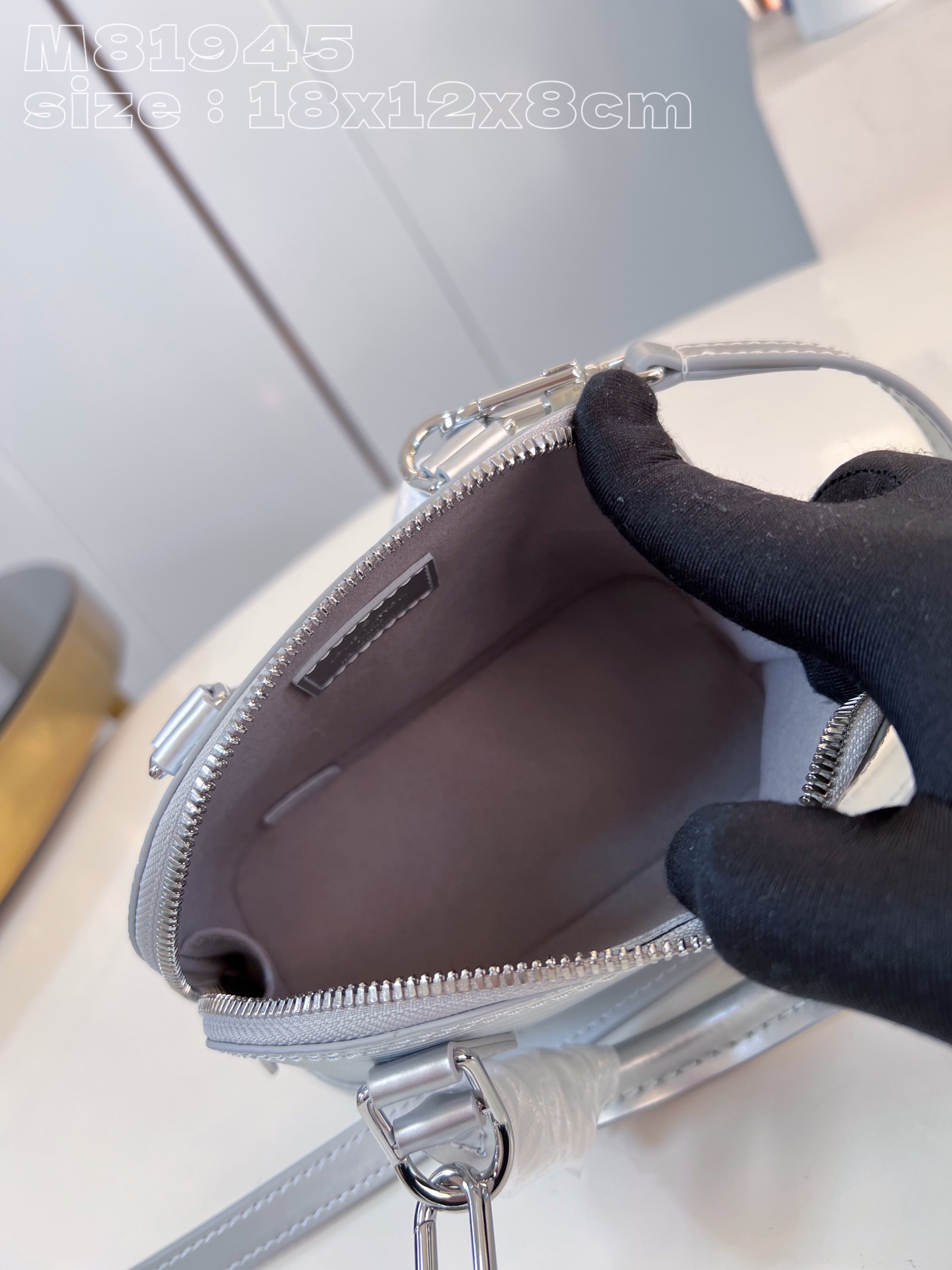 l**is V*t*n nano alma bag