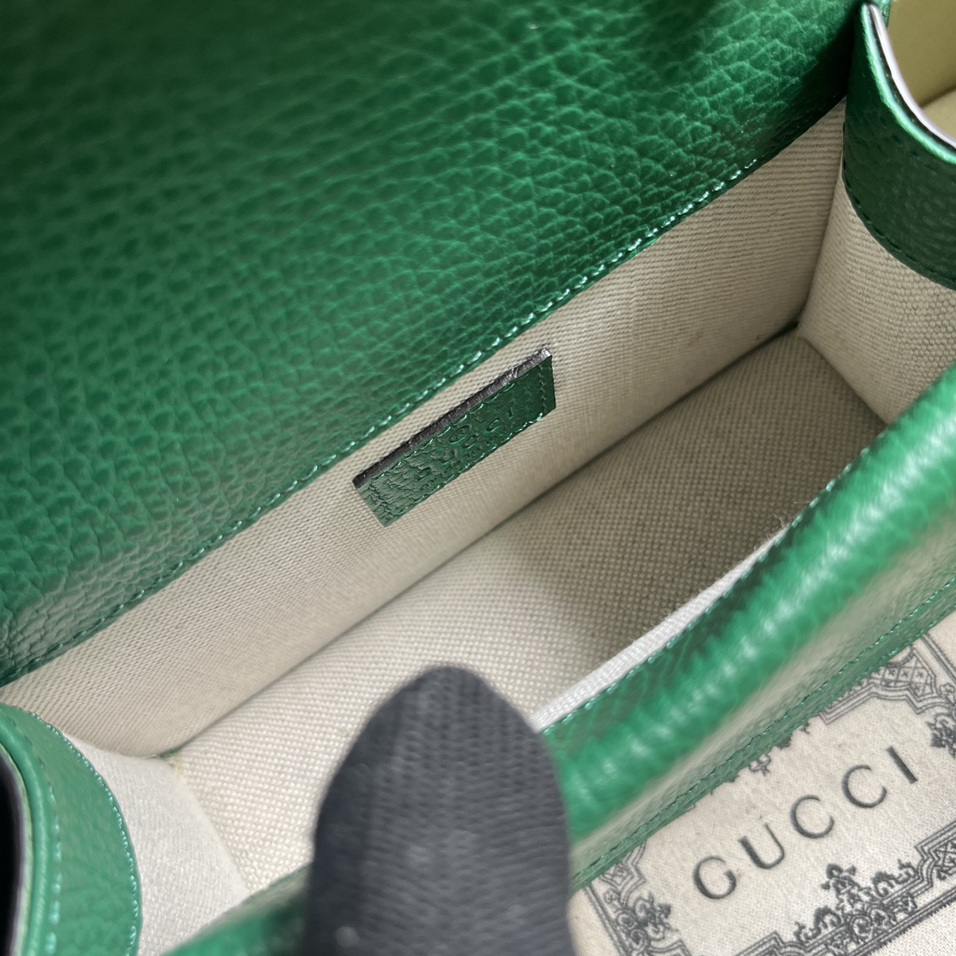G*u*i dionysus mini top handle bag