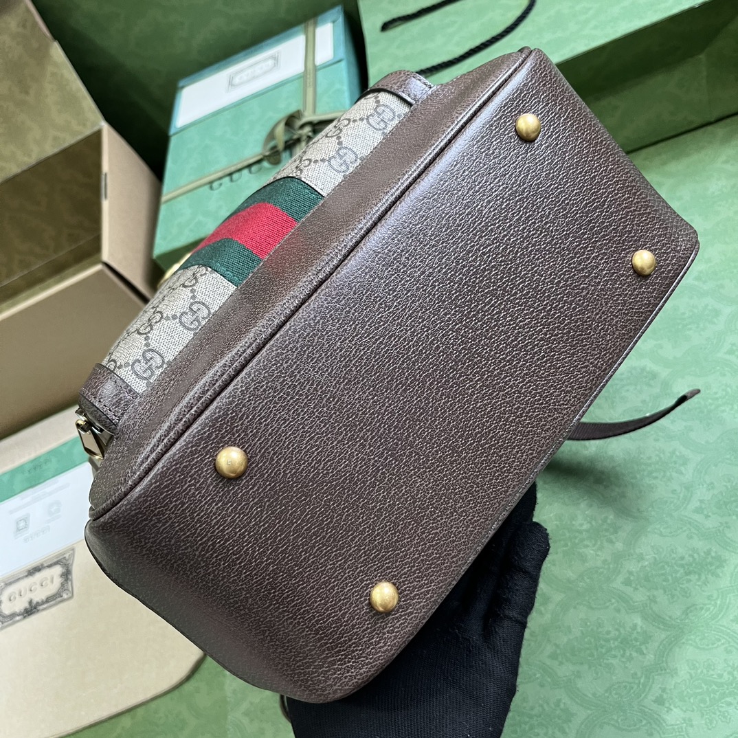 G*u*i ophidia gg medium backpack