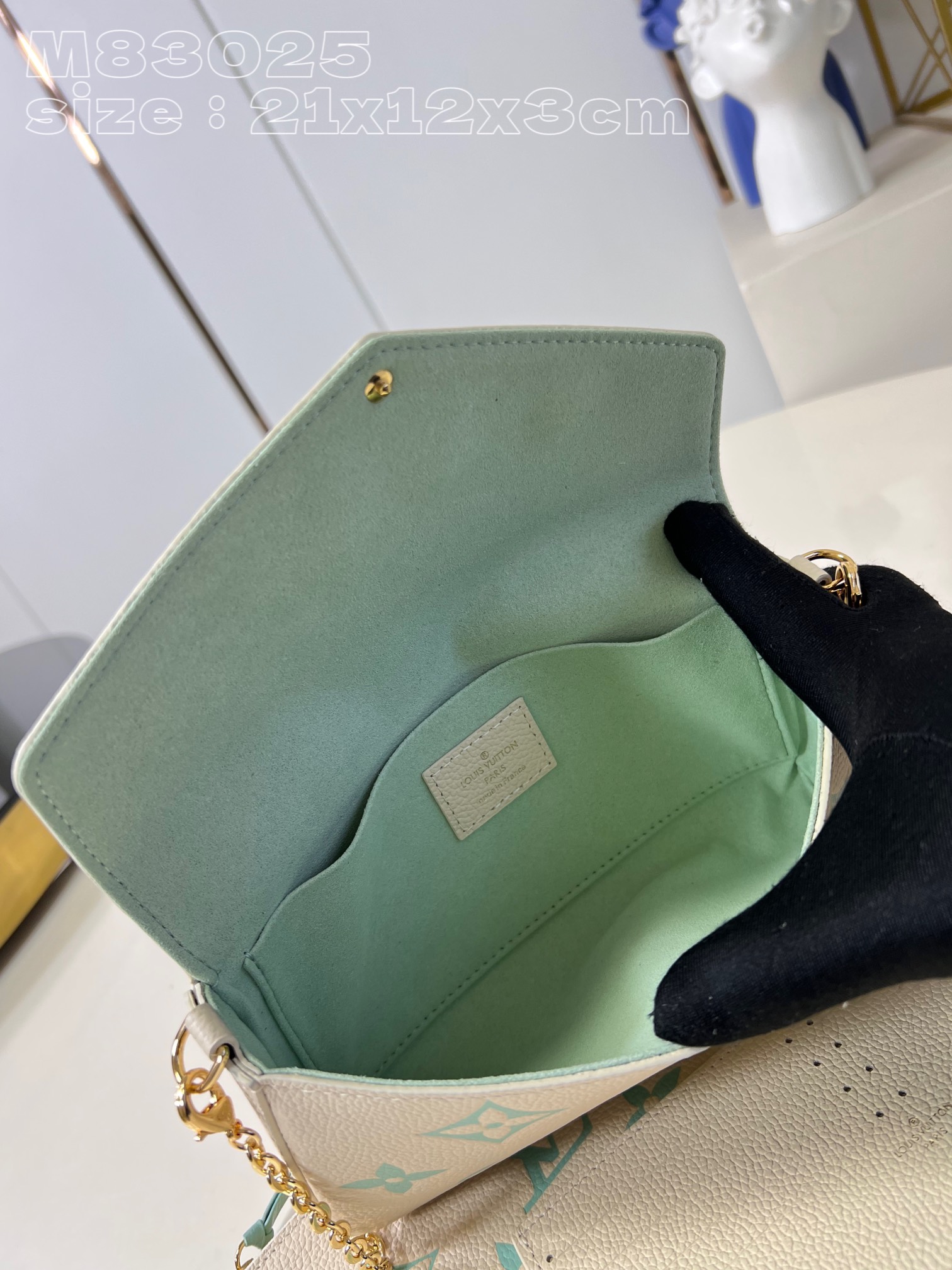 l**is V*t*n félicie pochette