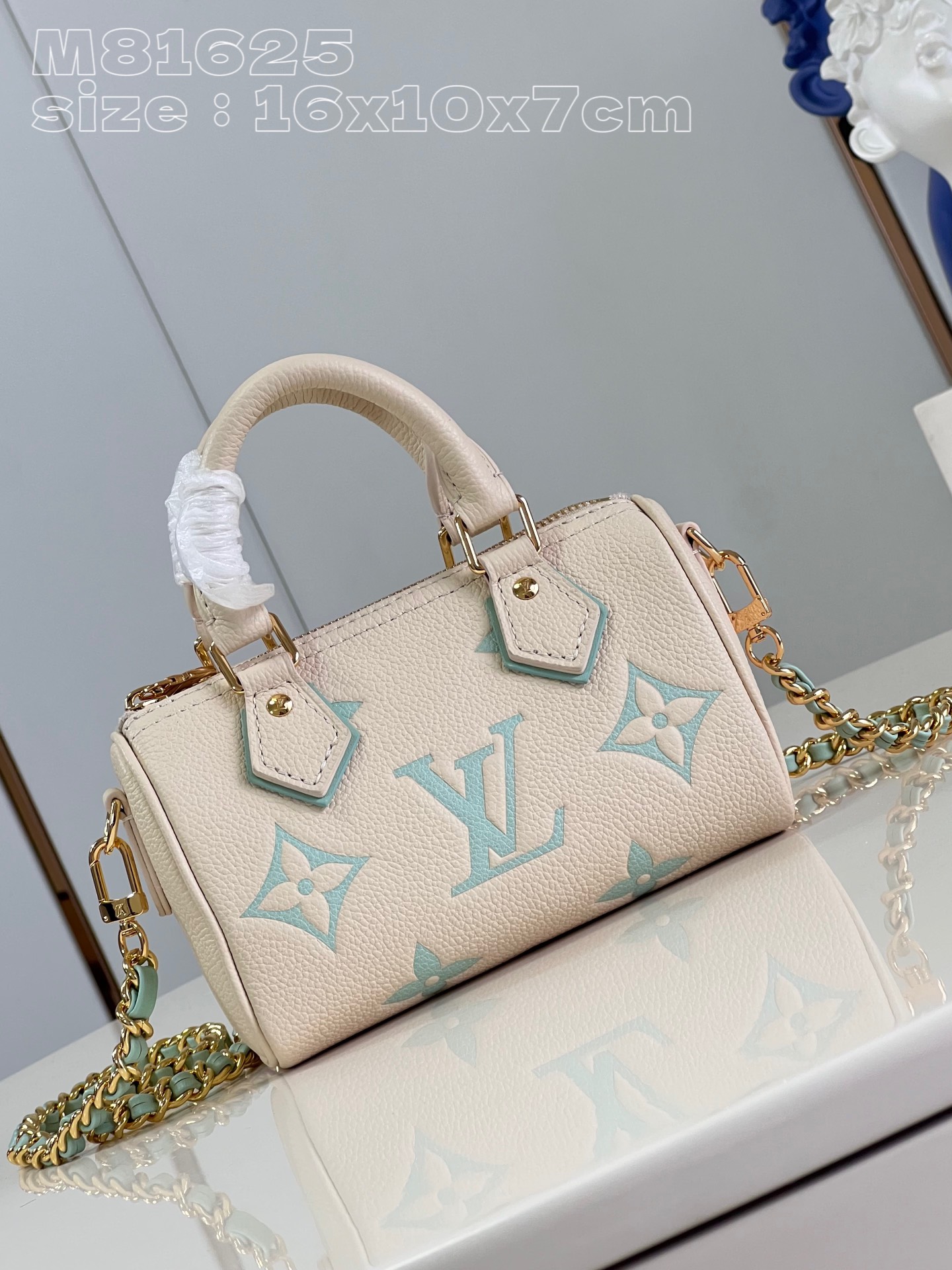 l**is V*t*n nano speedy handbag