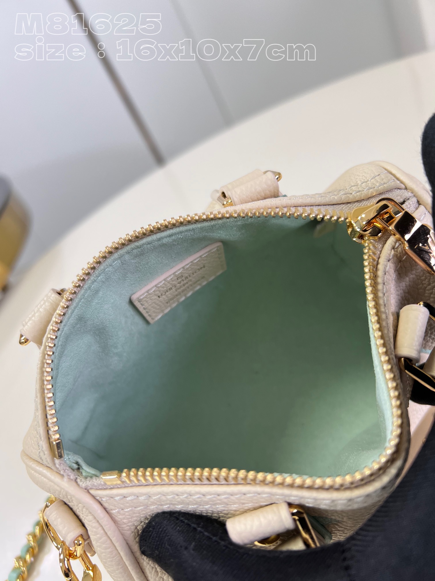 l**is V*t*n nano speedy handbag