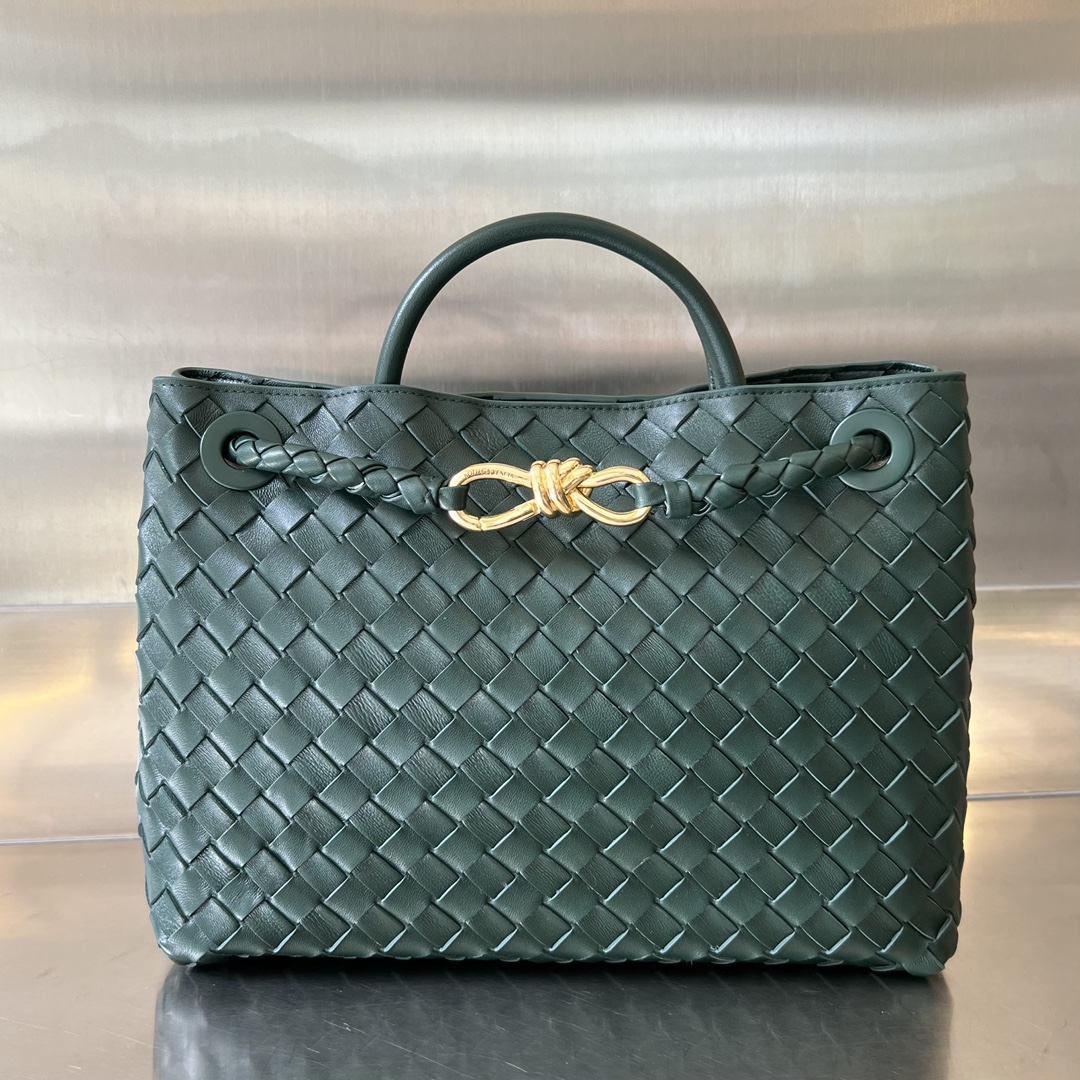 bo*te*ga Ve*ne*ta medium andiamo bag