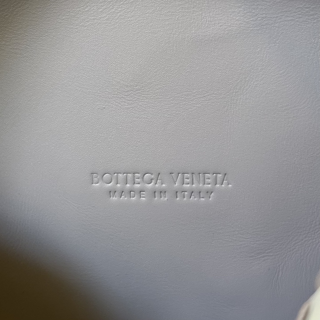 bo*te*ga Ve*ne*ta small loop camera bag