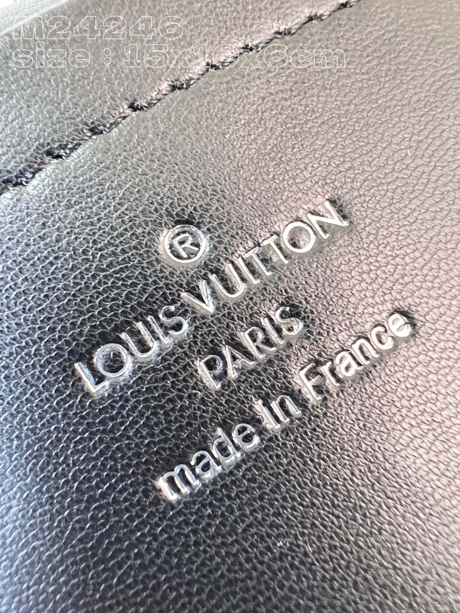 l**is V*t*n pico go-14 handbag