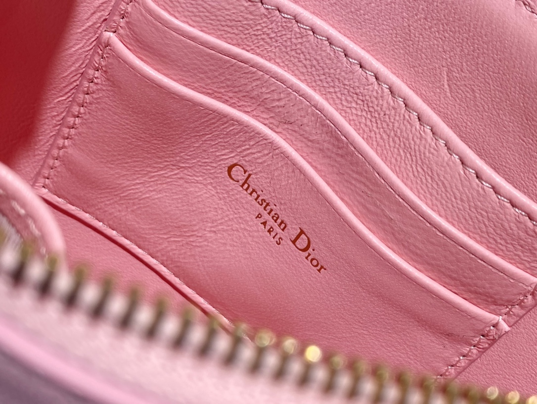 D*or saddle shoulder pouch