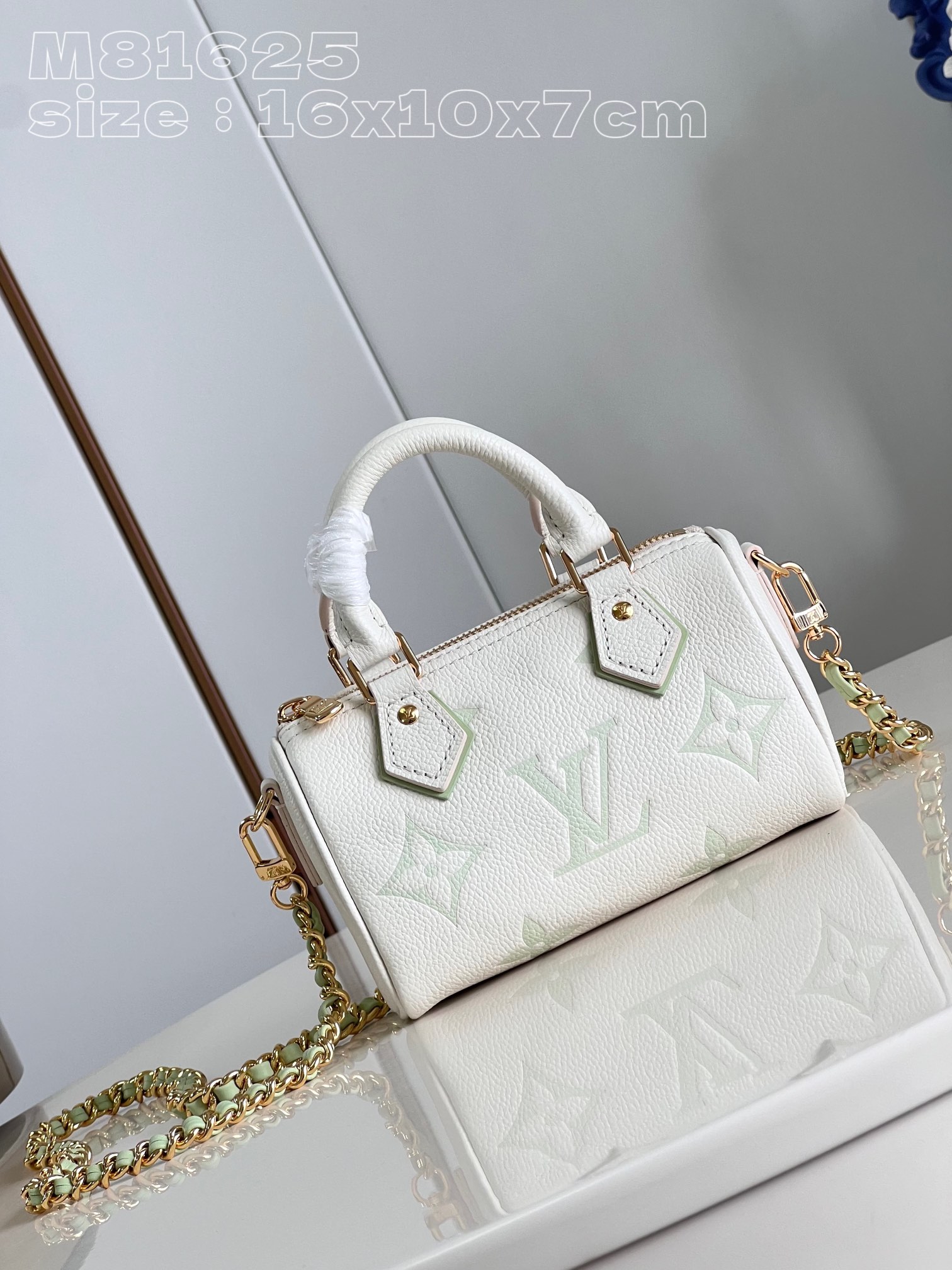 l**is V*t*n nano speedy handbag