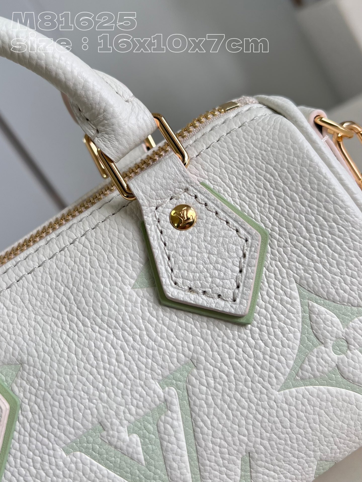 l**is V*t*n nano speedy handbag