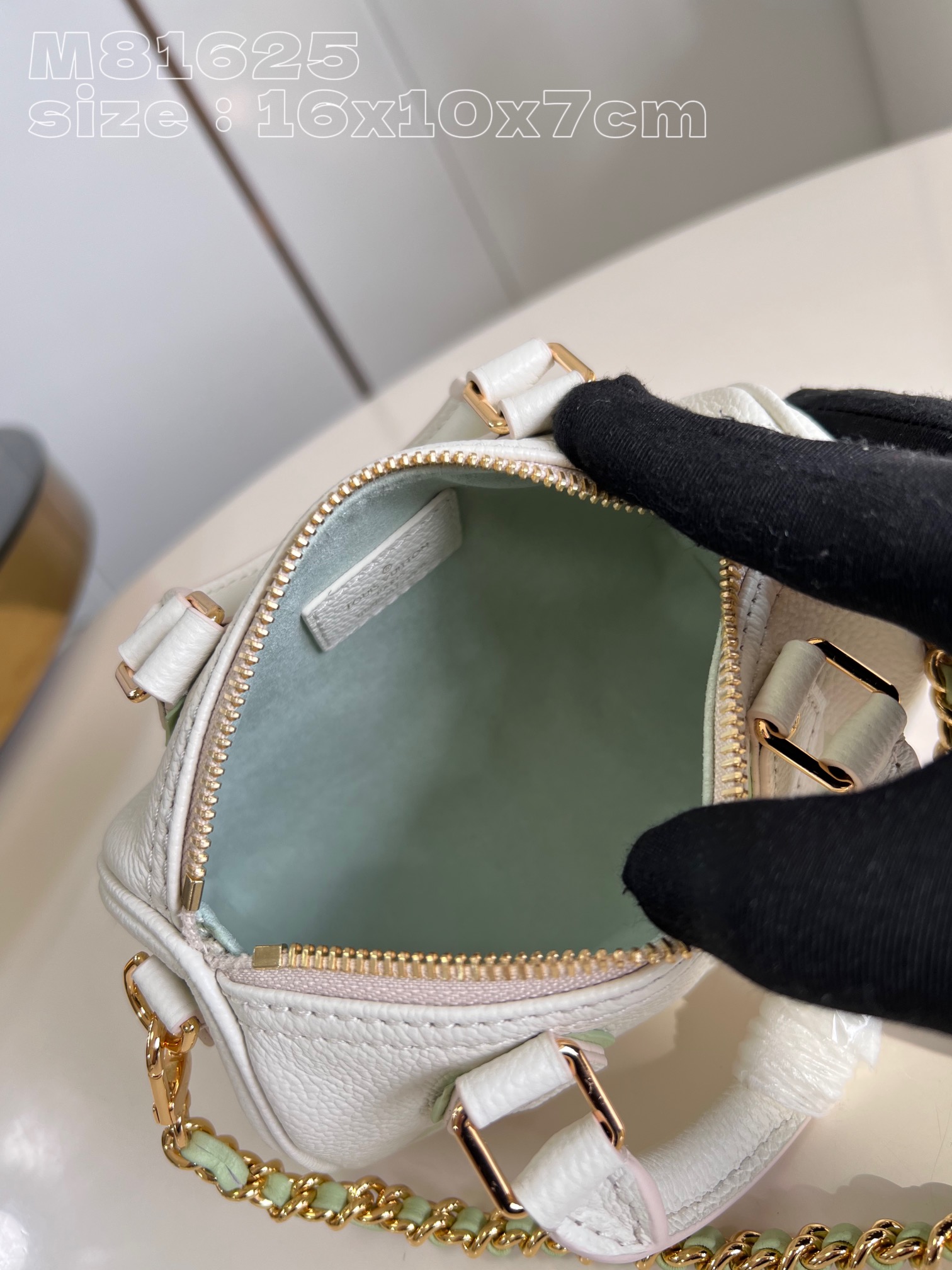 l**is V*t*n nano speedy handbag