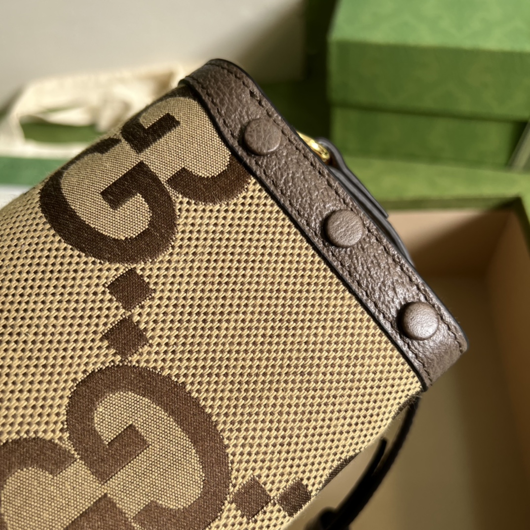 G*u*i horsebit 1955 mini bag