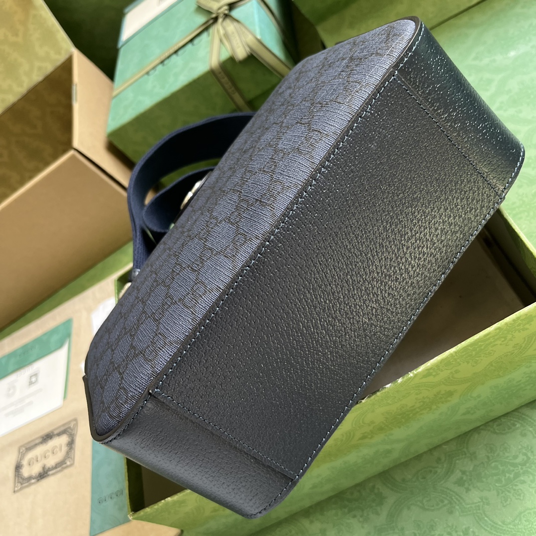 G*u*i ophidia gg crossbody bag
