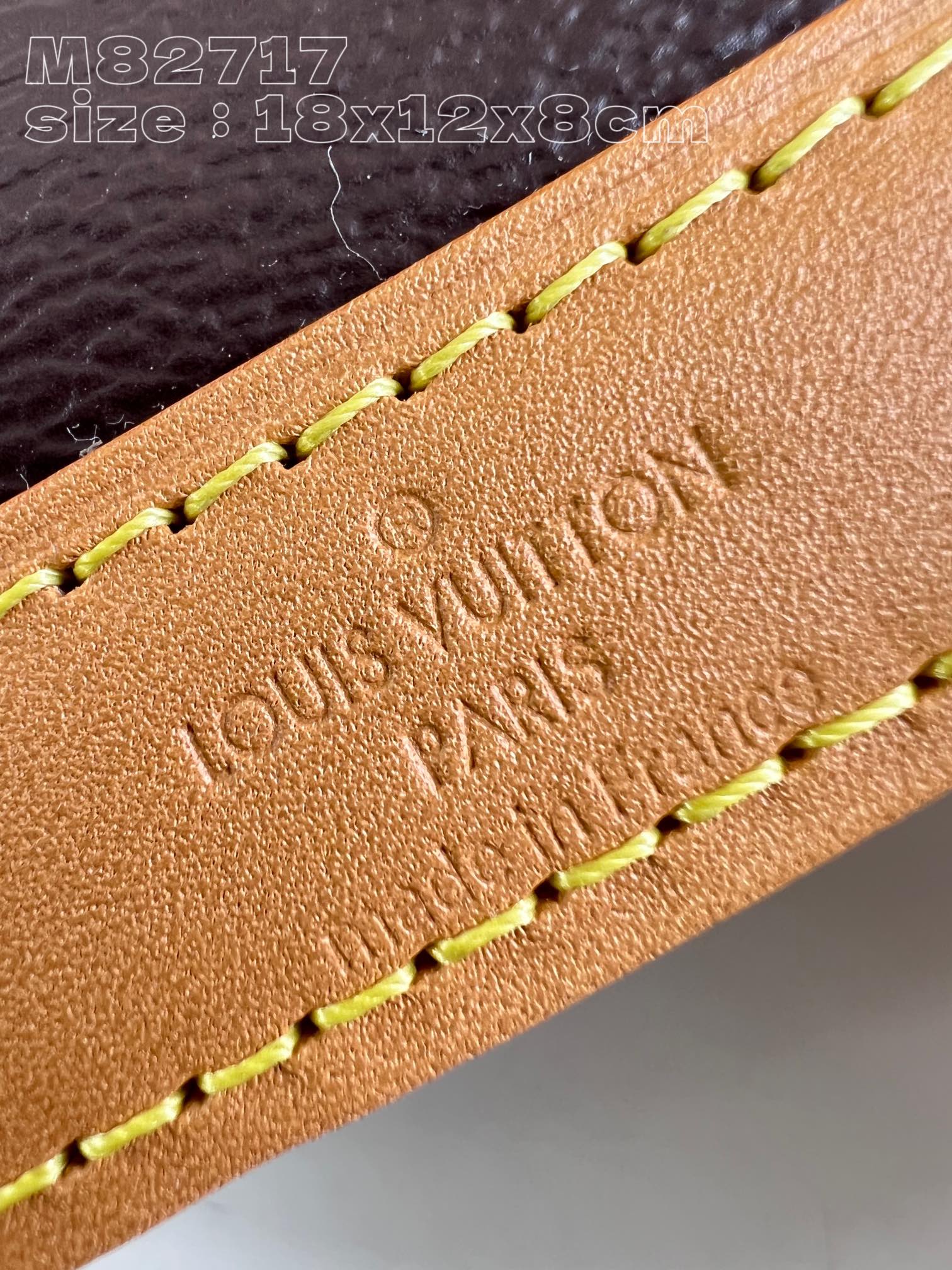 l**is V*t*n nano alma bag