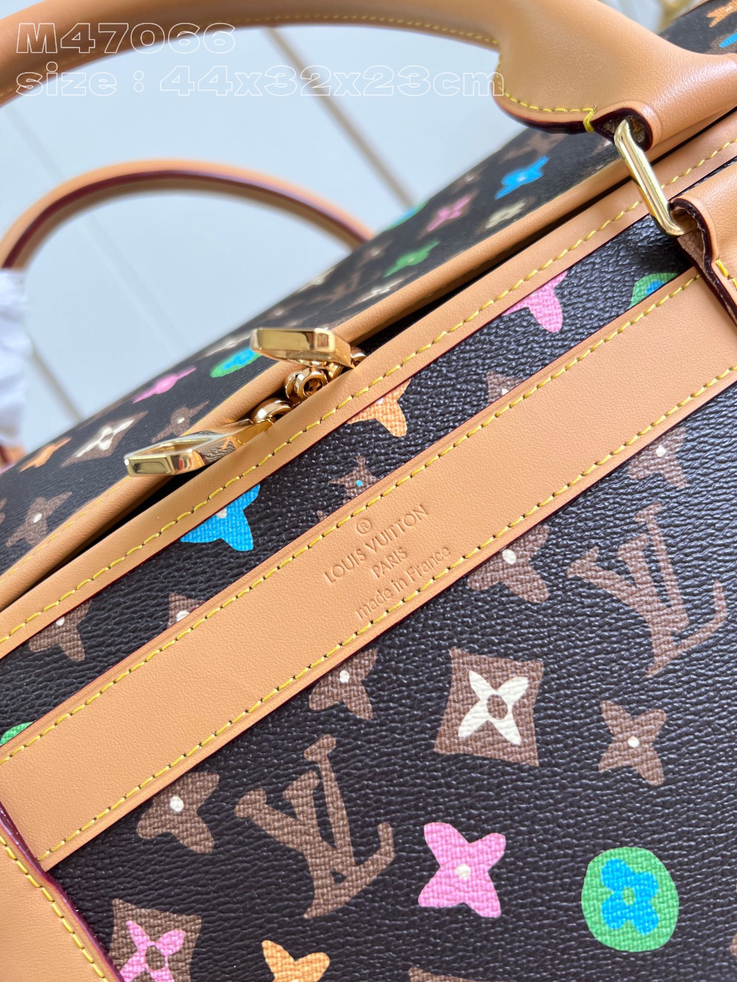 l**is V*t*n dog  bag