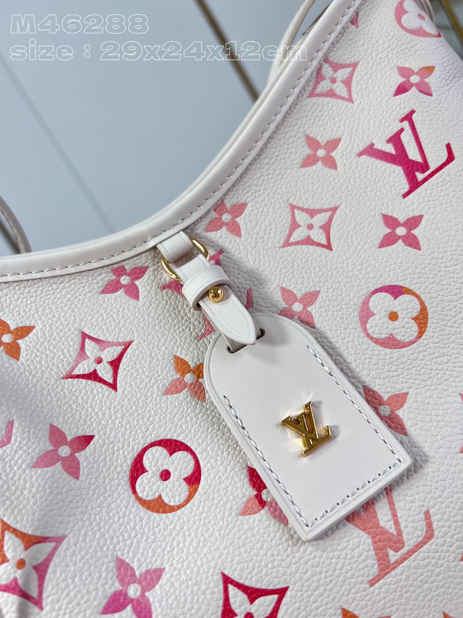 l**is V*t*n carryall pm bag