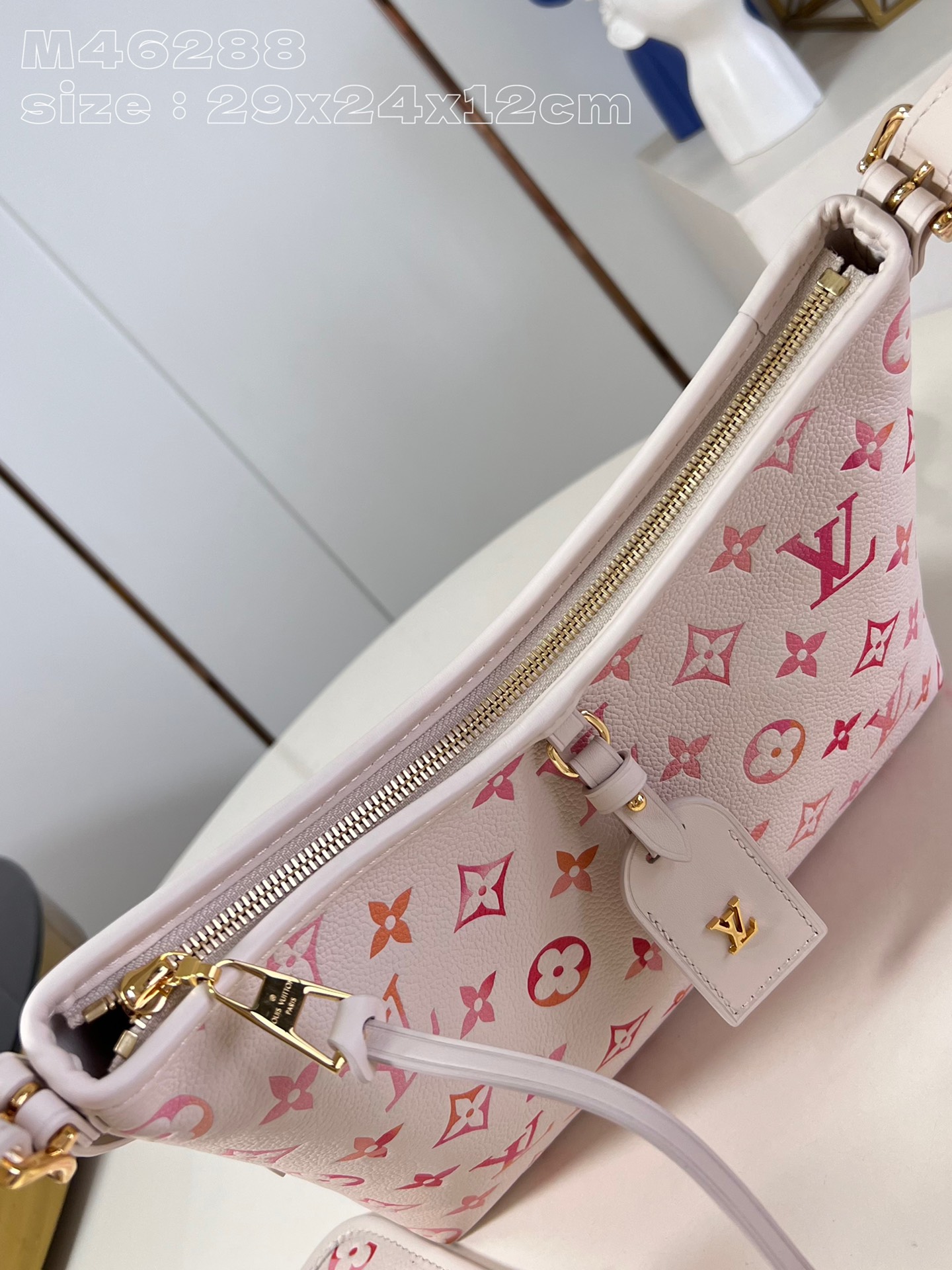 l**is V*t*n carryall pm bag