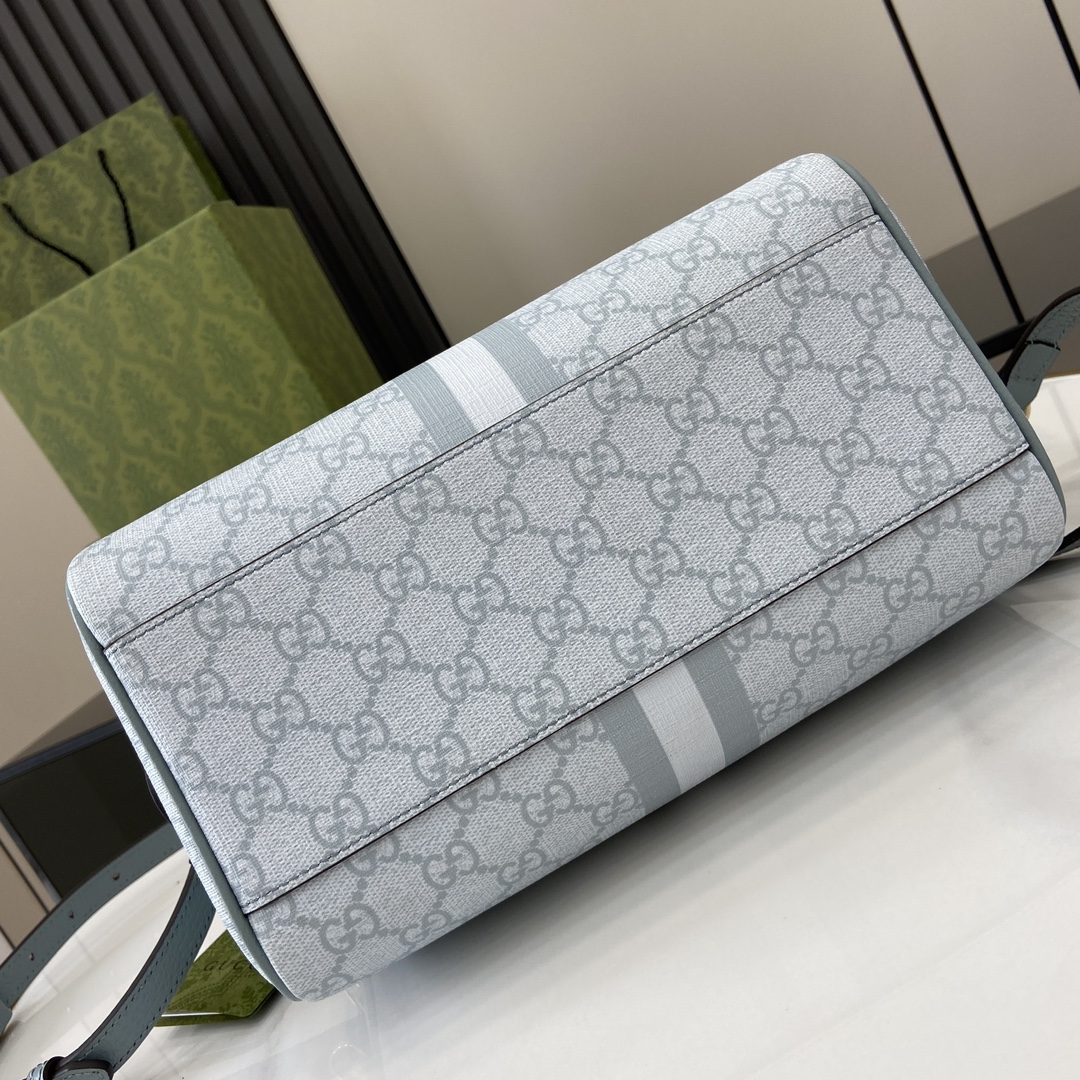 G*u*i ophidia gg small top handle bag