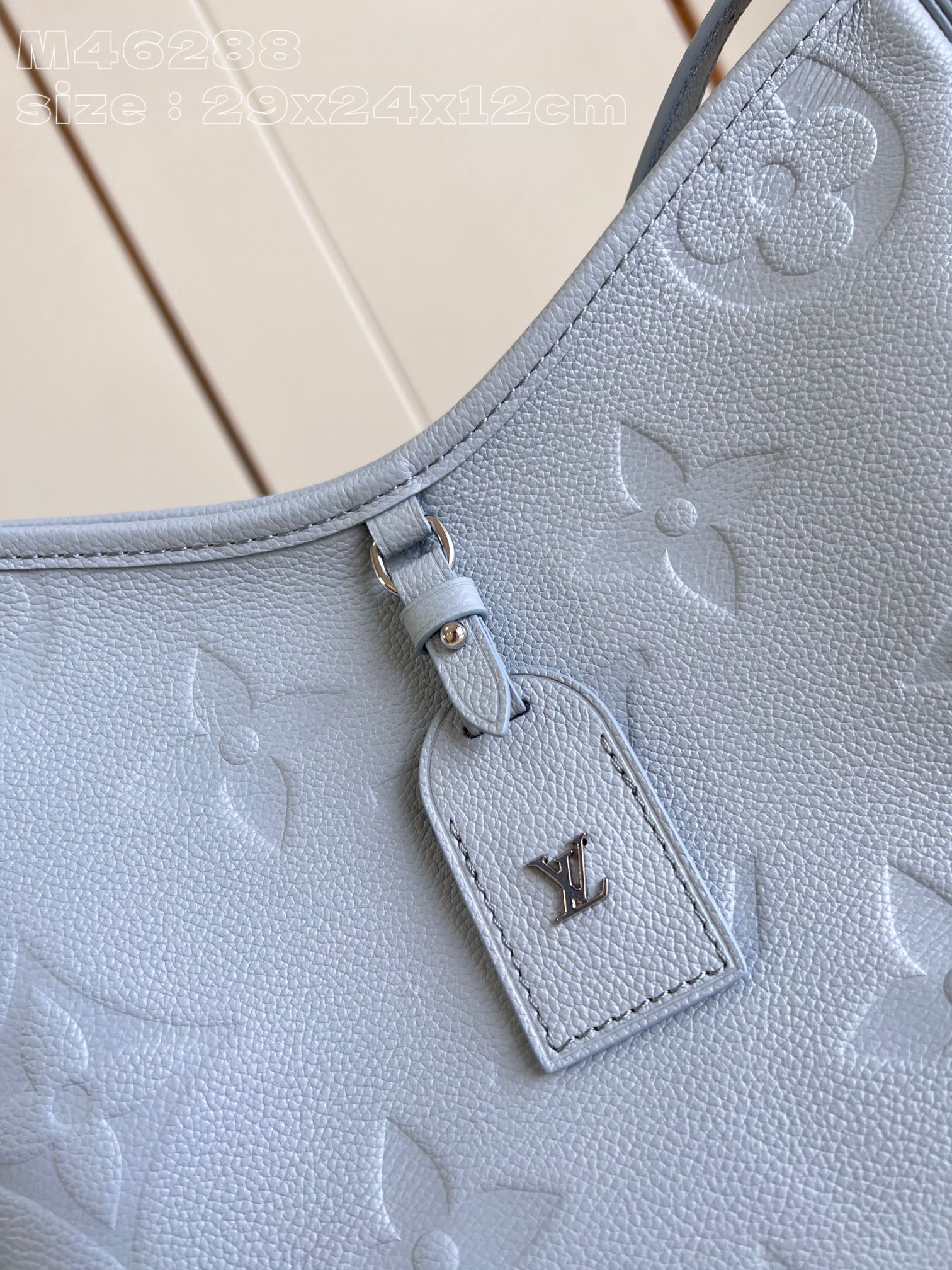 l**is V*t*n carryall pm bag