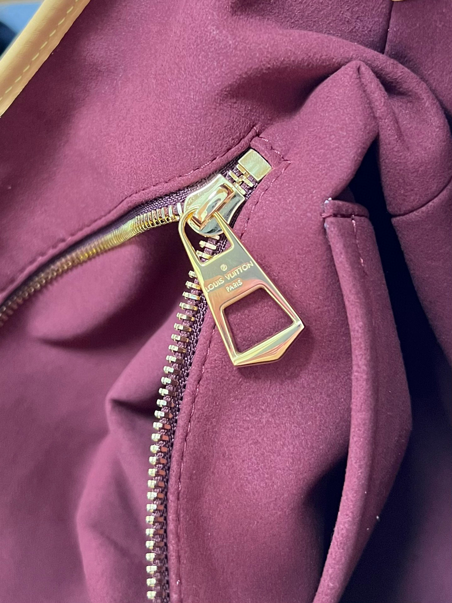 l**is V*t*n sac carryall pm
